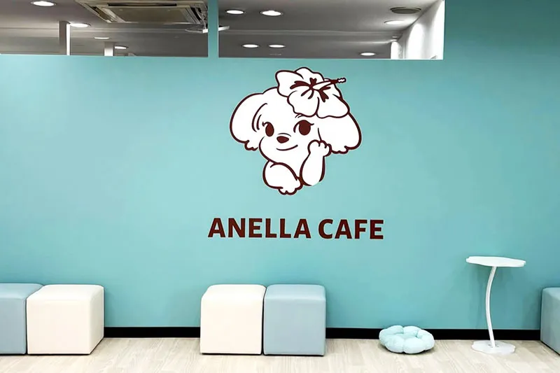 保護活動と福祉事業が合わさったカフェ