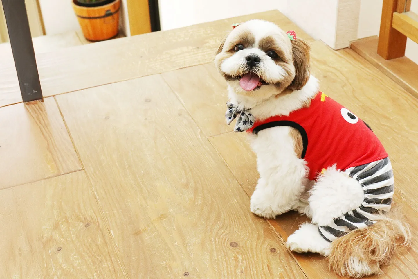 店舗やサービスについて写真でご紹介