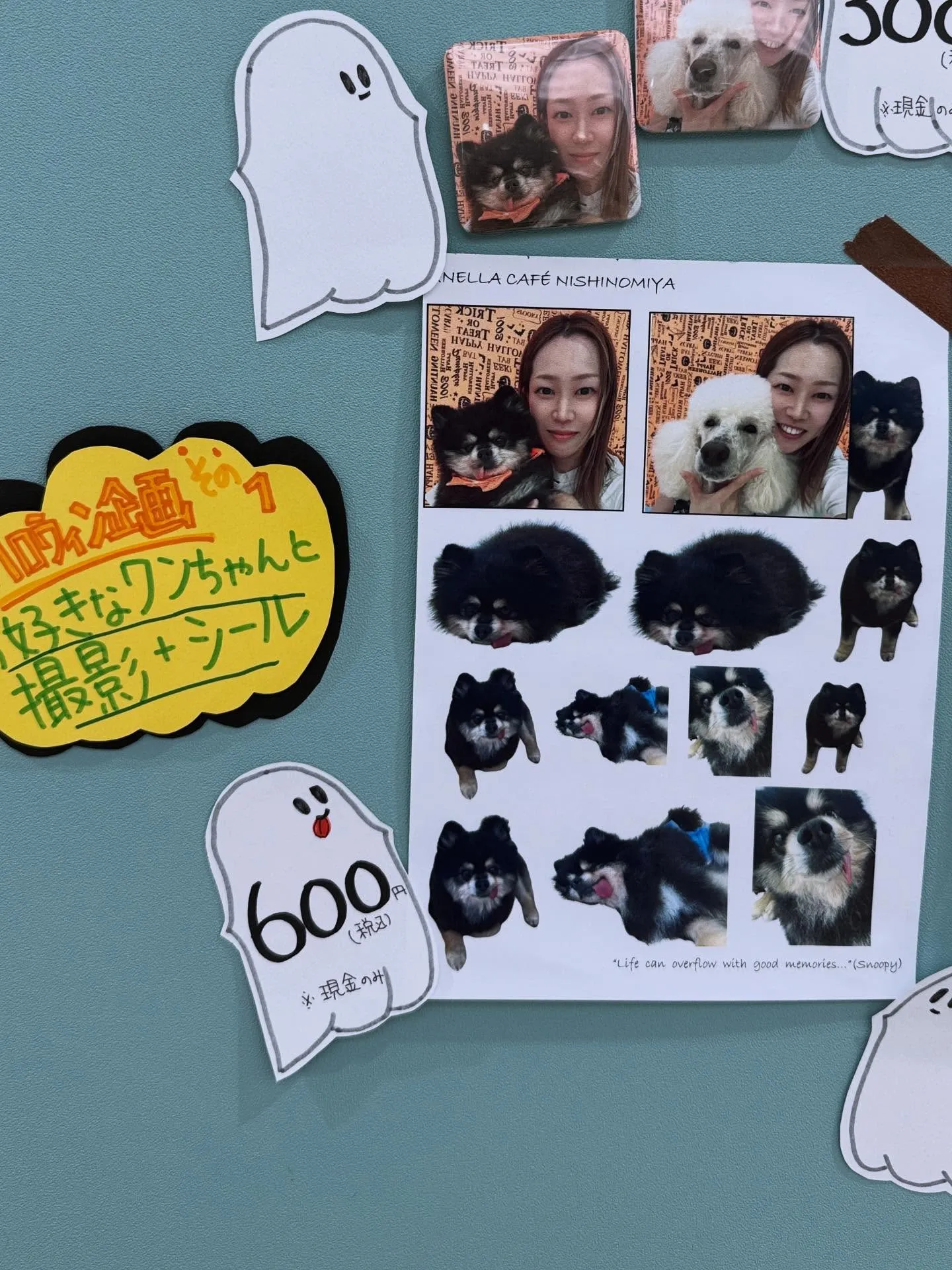 ハロウィンイベント第二弾‼️‼️