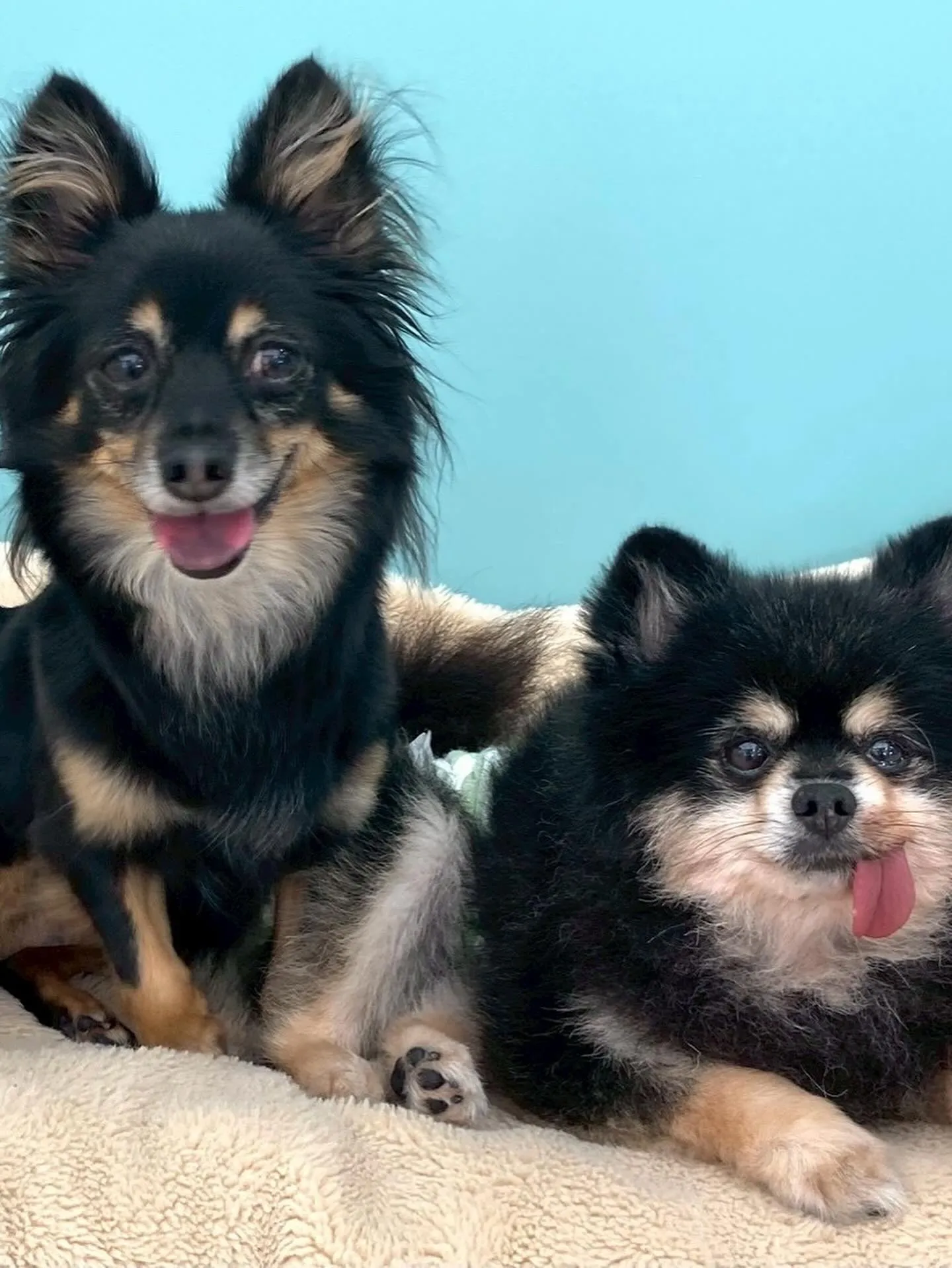 兵庫医科大学の方からすごくあたたかいDMを