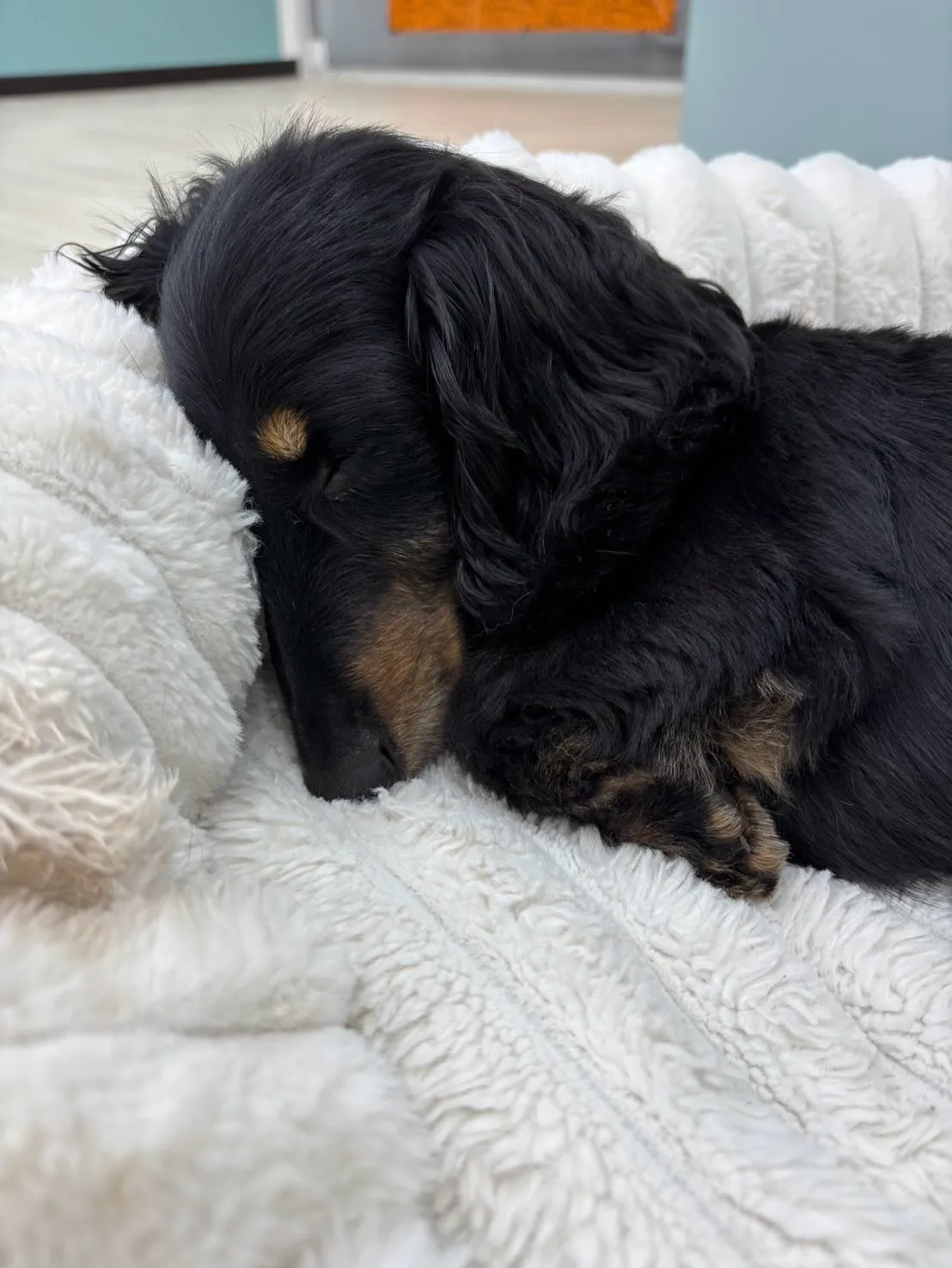 兵庫医科大学の方からすごくあたたかいDMを