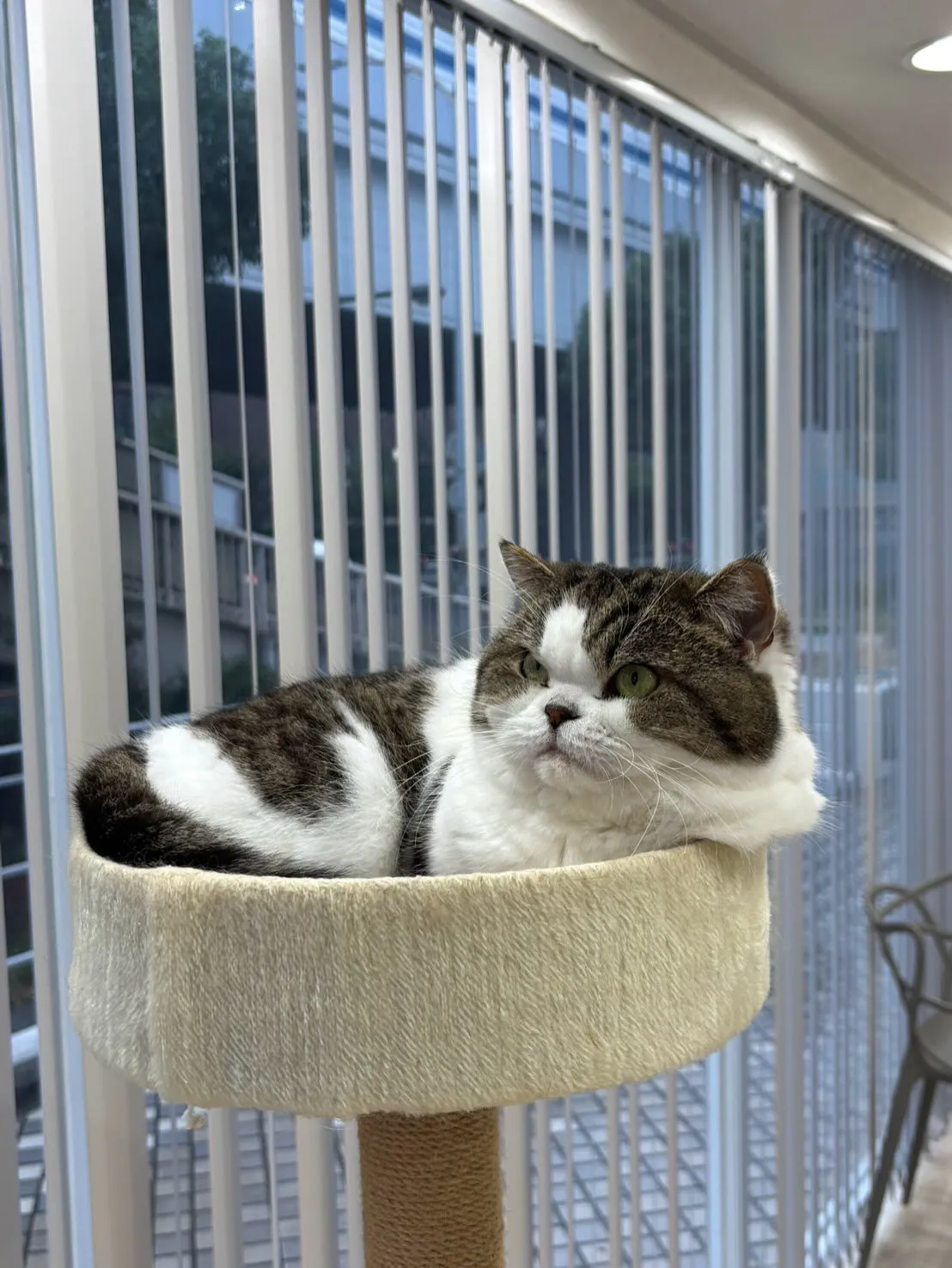 兵庫医科大学の方からすごくあたたかいDMを