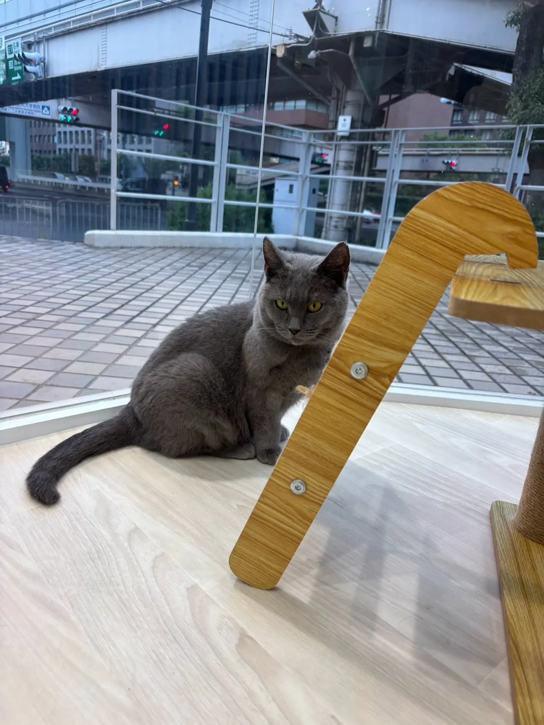 兵庫医科大学の方からすごくあたたかいDMを