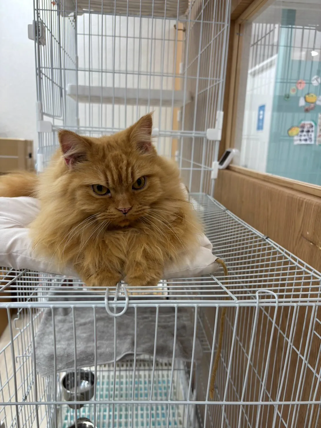 兵庫医科大学の方からすごくあたたかいDMを