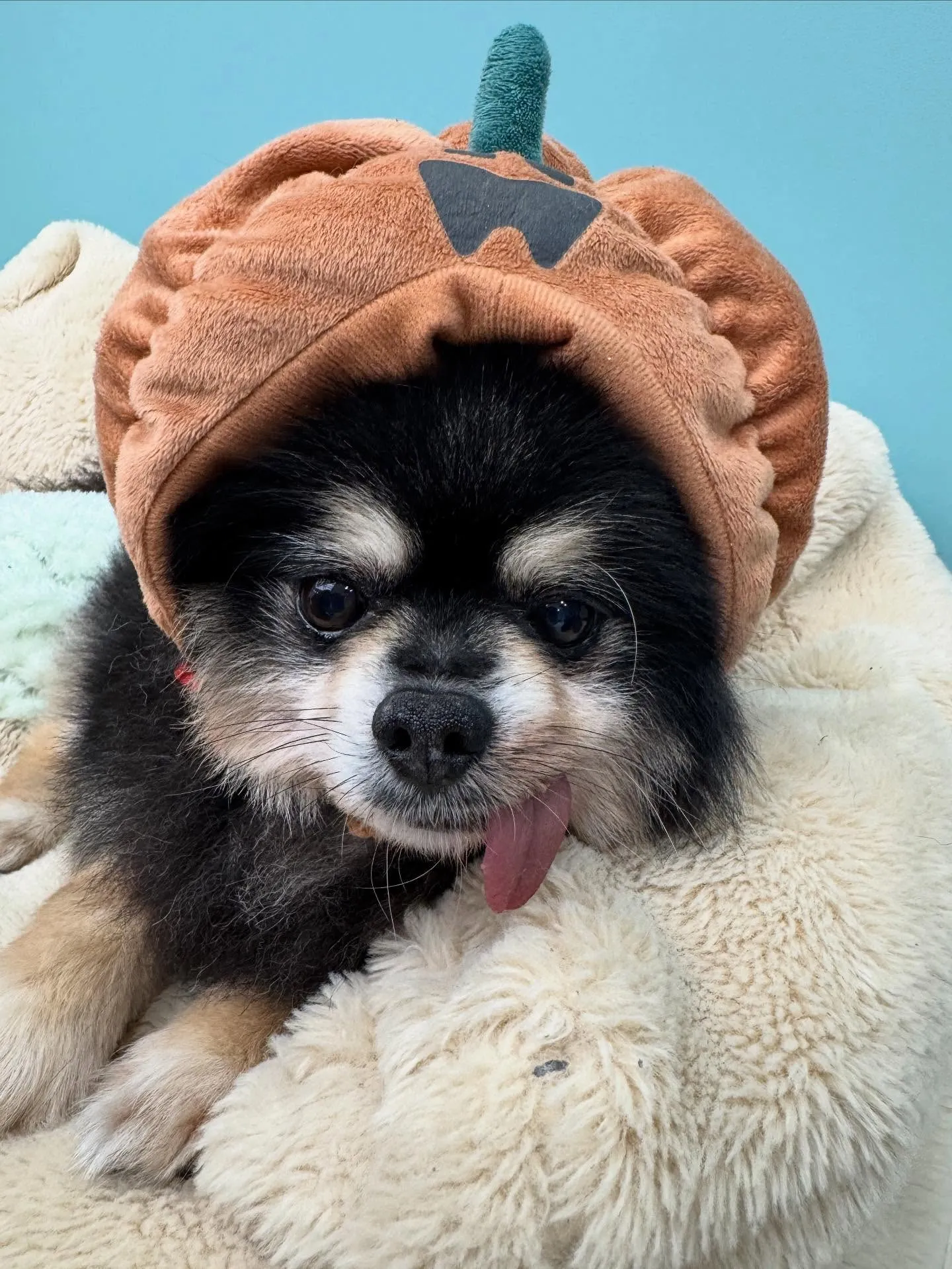 兵庫医科大学の方からすごくあたたかいDMを