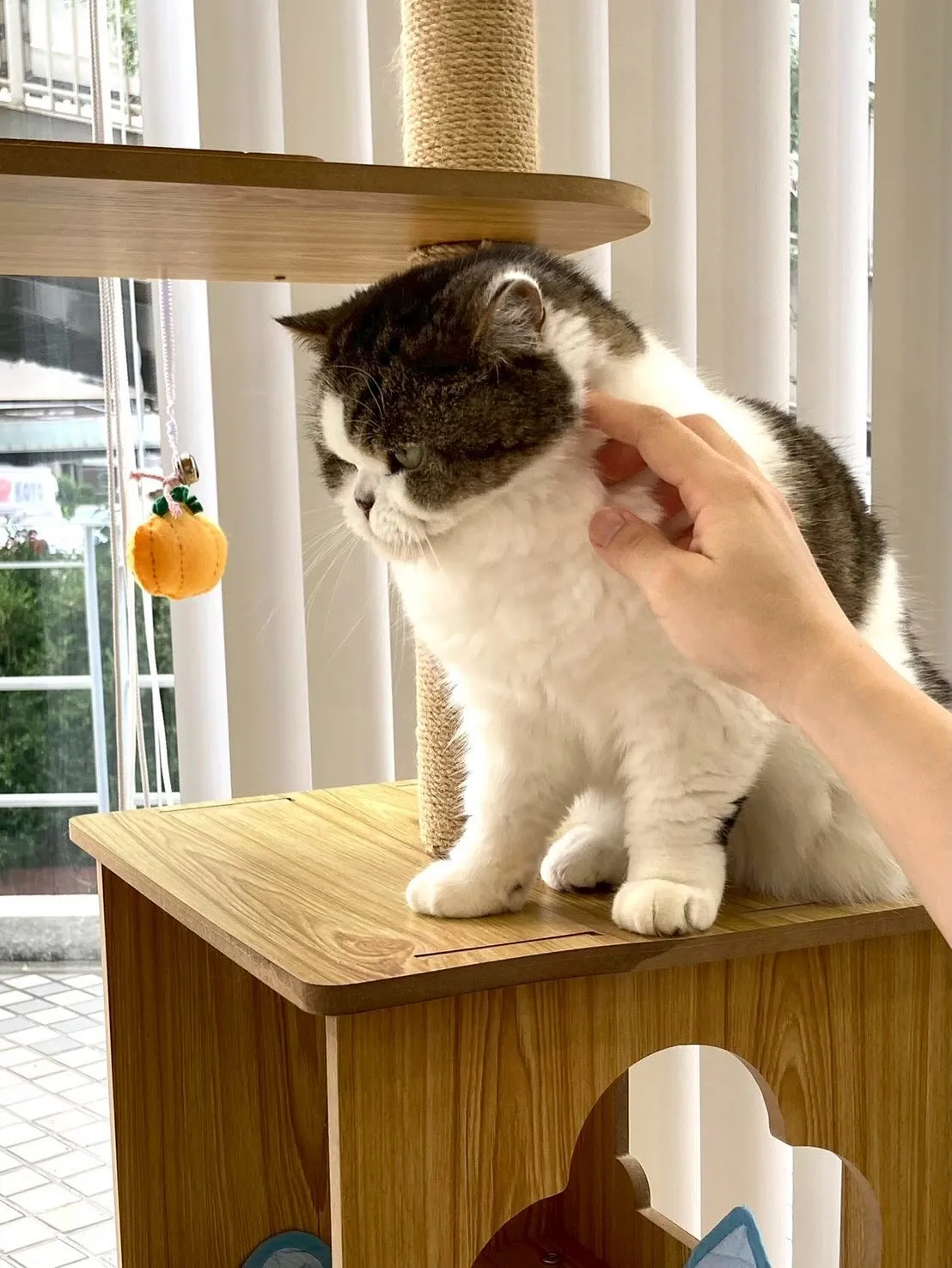 兵庫医科大学の方からすごくあたたかいDMを