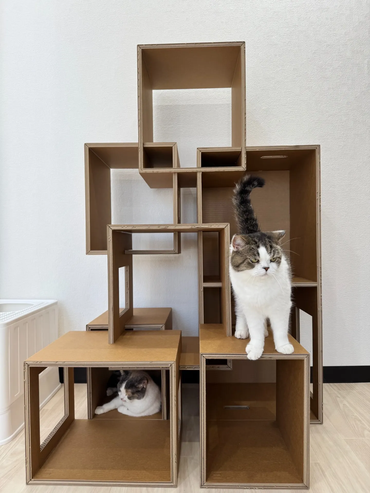 店舗やサービスについて写真でご紹介