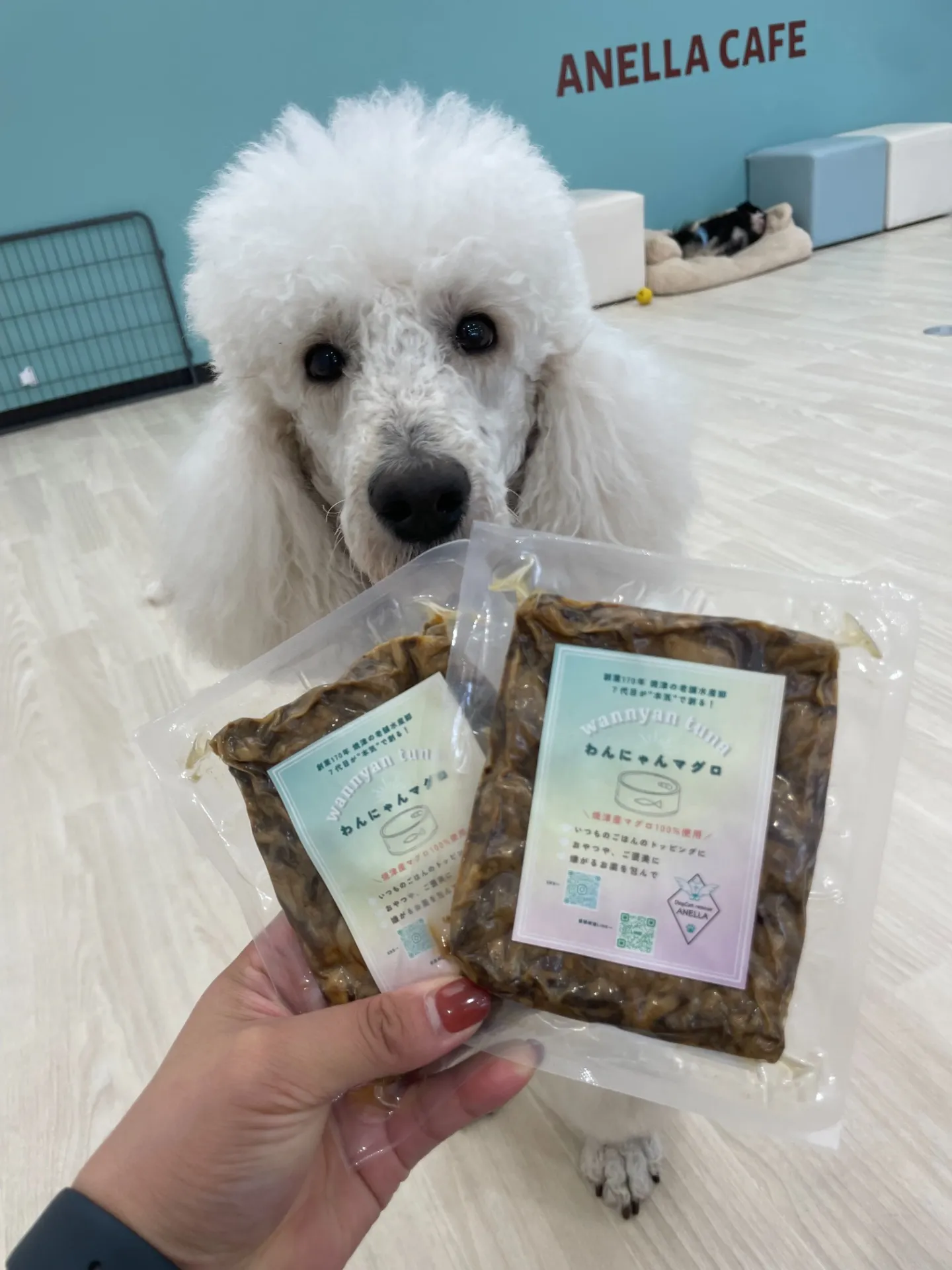 わんにゃんマグロ♪