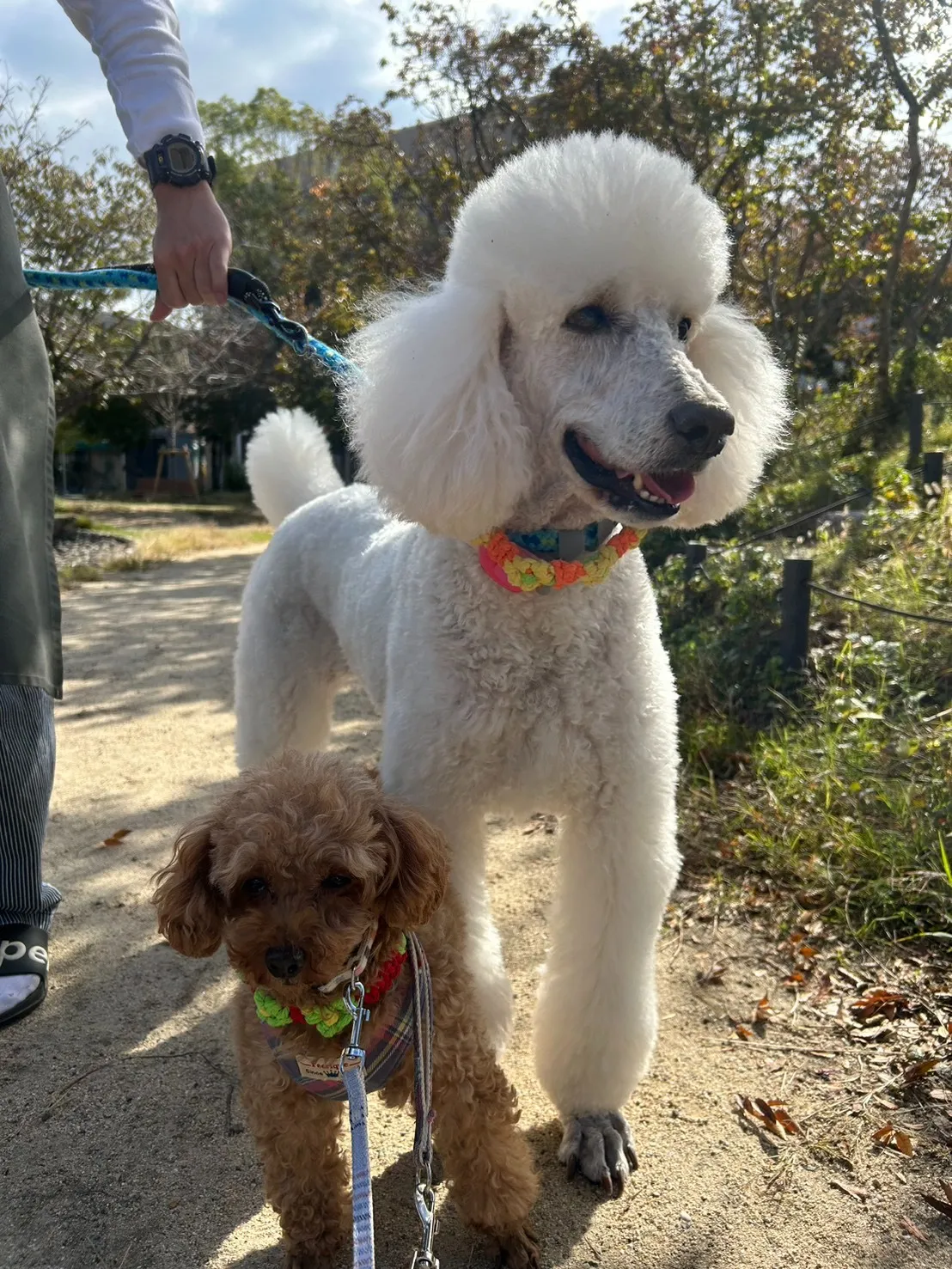 お散歩行ってきました～♪