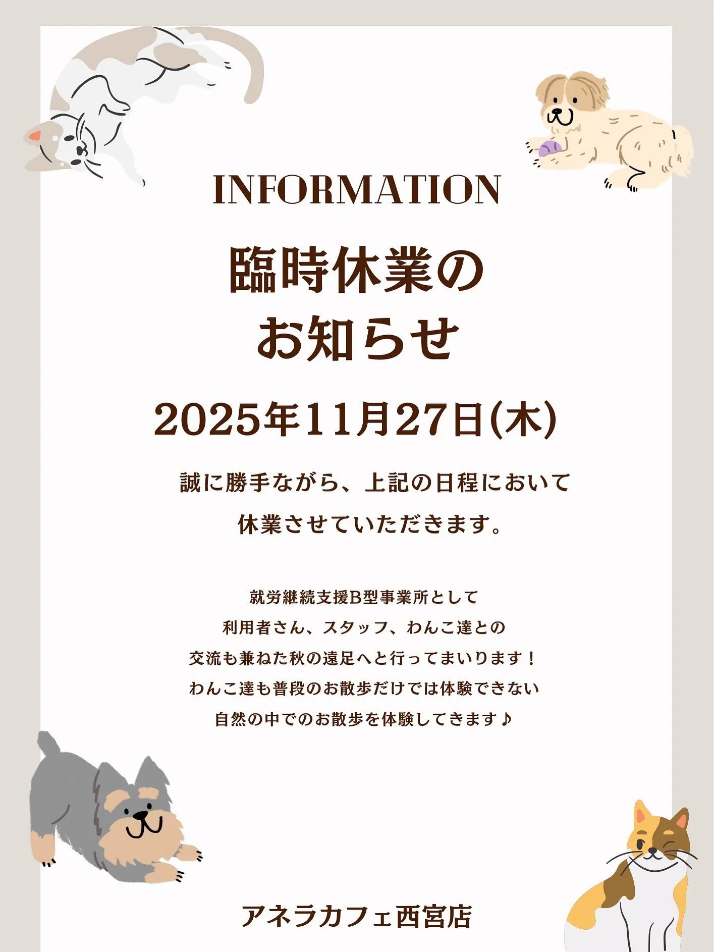 アネラカフェはオープンから半年が経ちました☕️