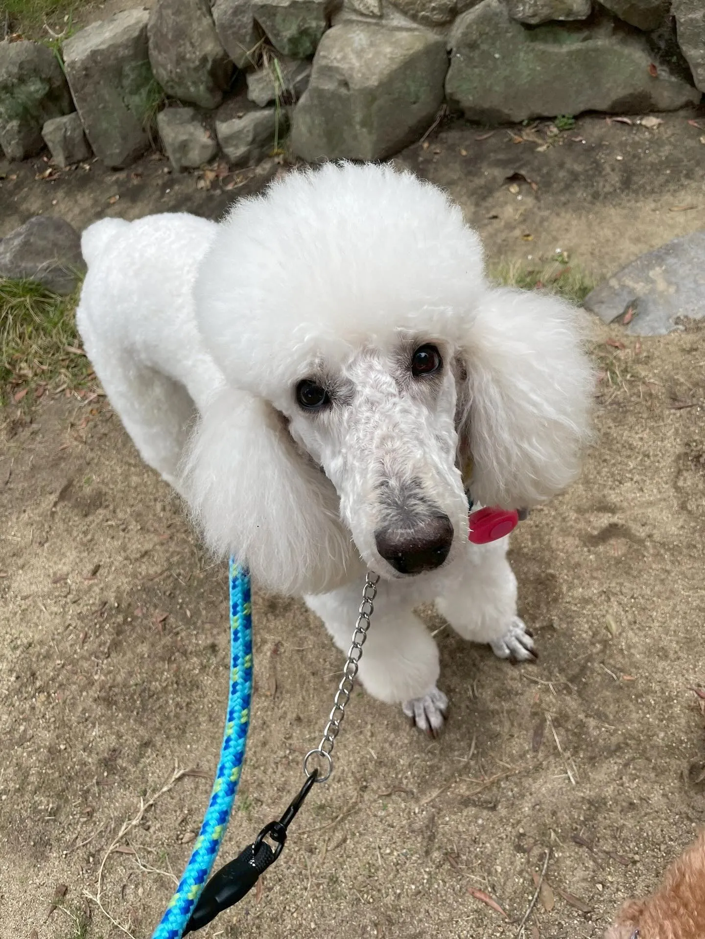 アネラカフェはオープンから半年が経ちました☕️