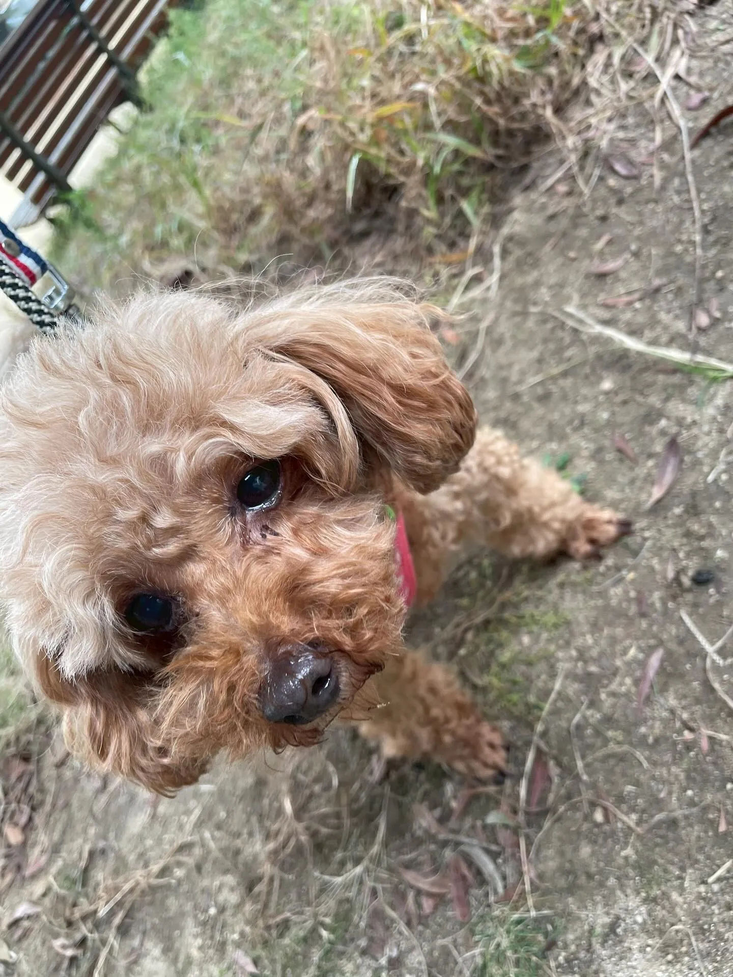 アネラカフェはオープンから半年が経ちました☕️