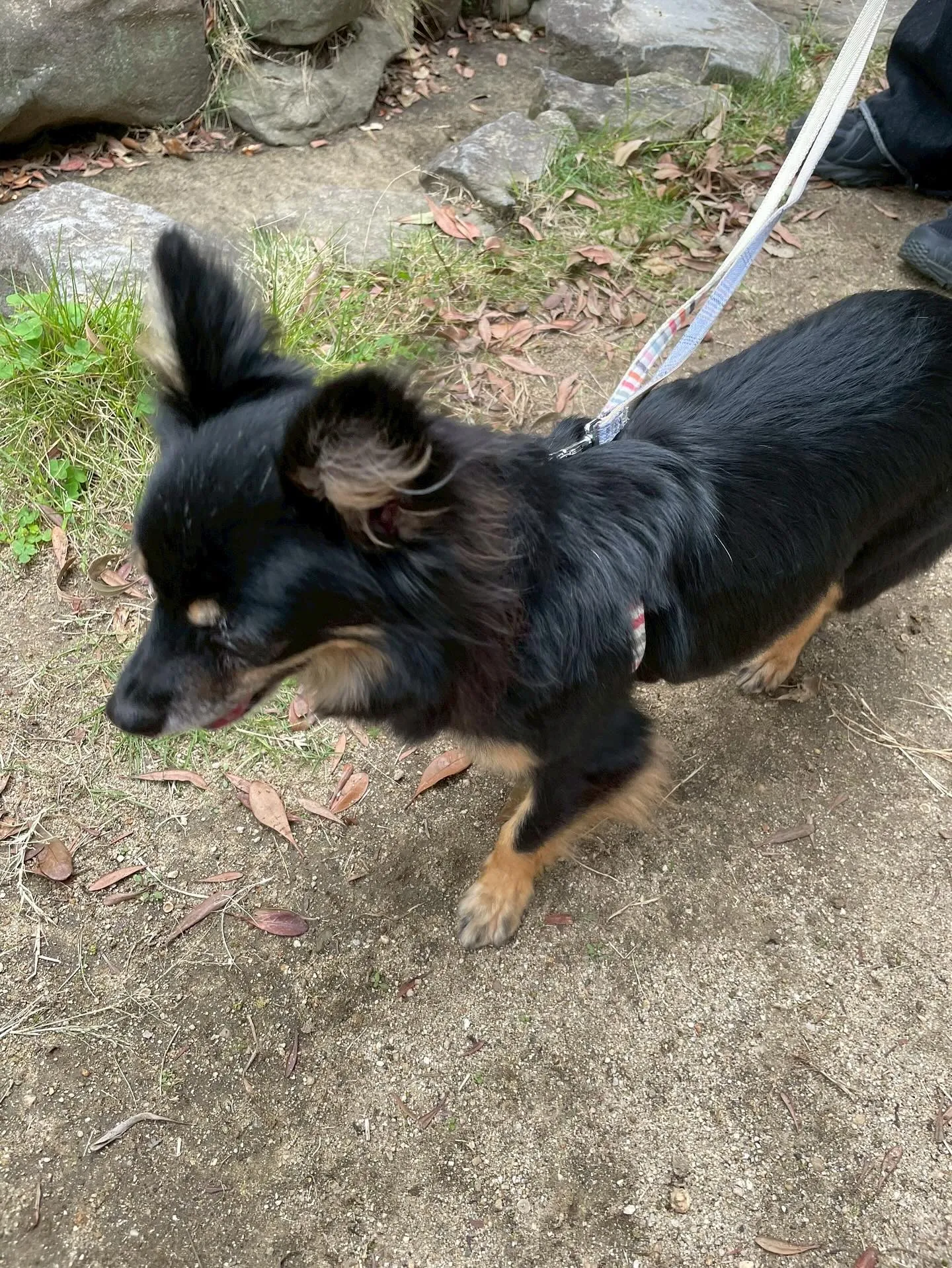 アネラカフェはオープンから半年が経ちました☕️