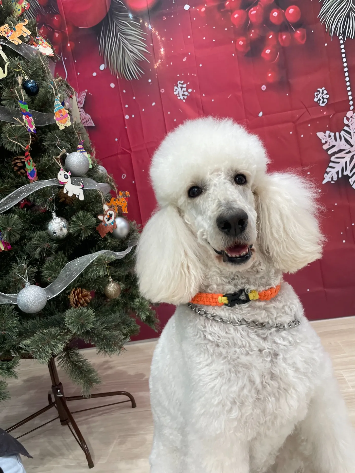 Xmasイベント開催のお知らせです!