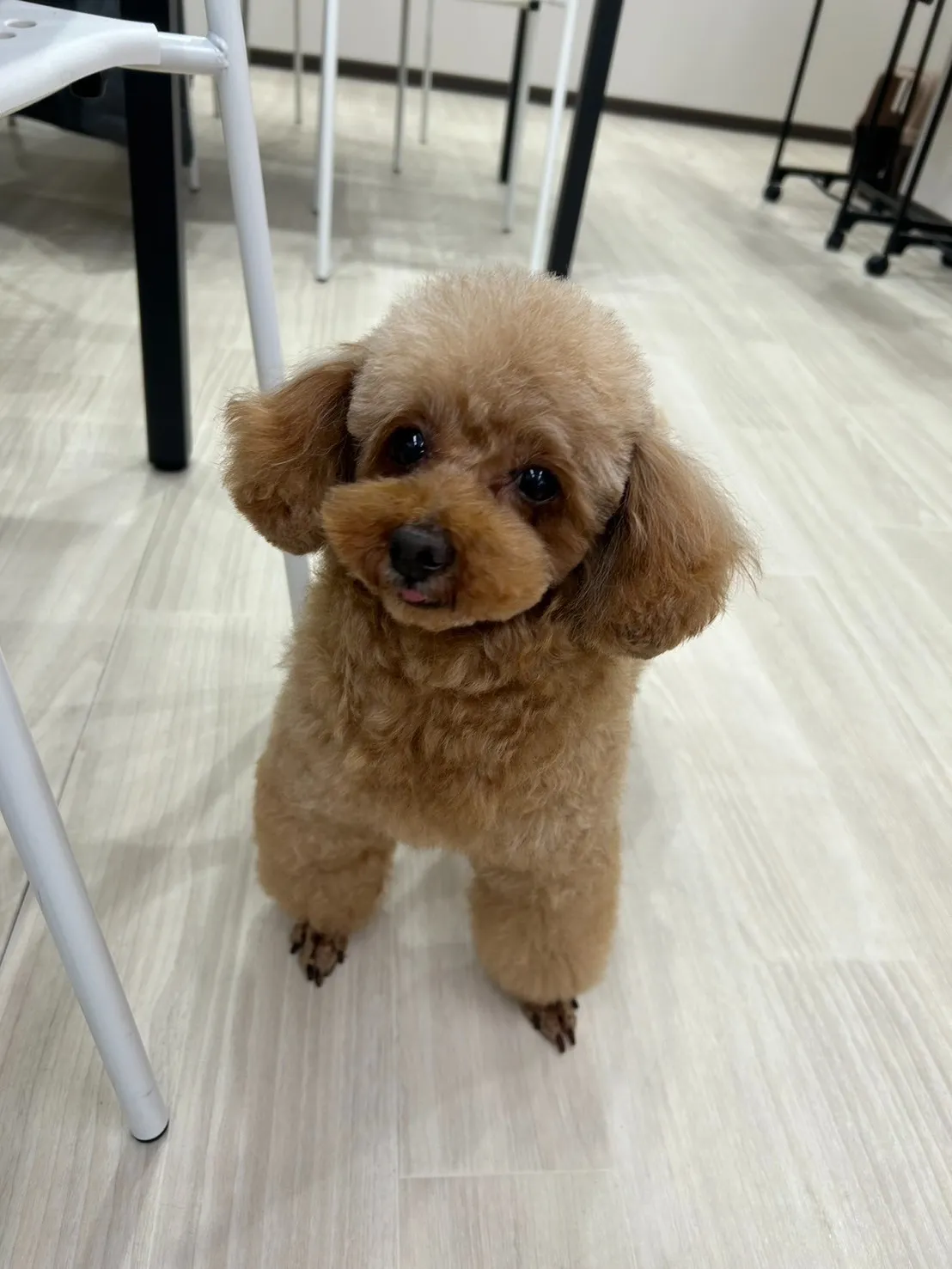 『アンダーギー』卒業のお知らせ！