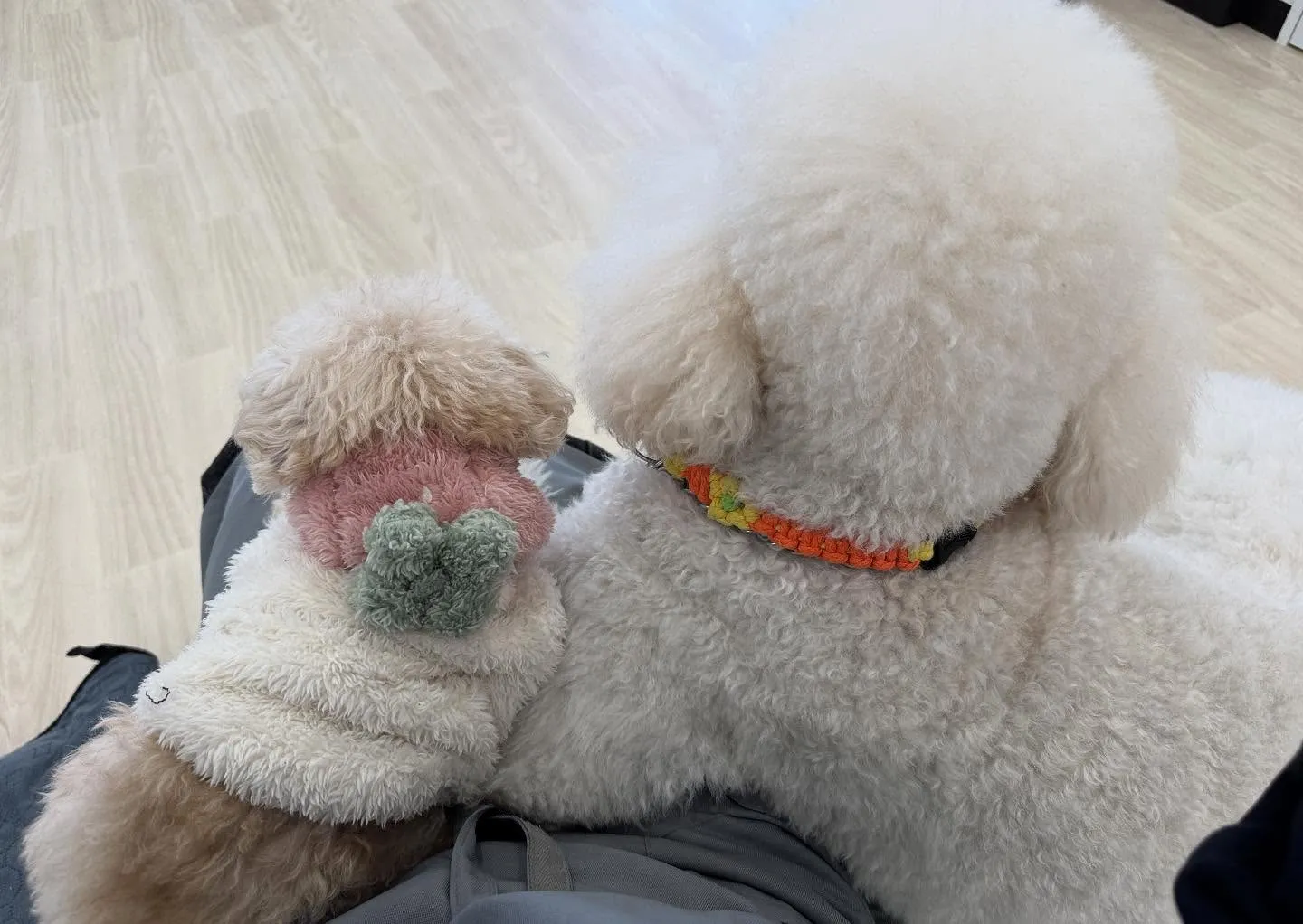 今年ももうすぐおわり✨今年最後は