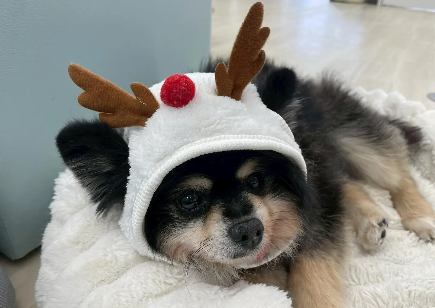 今年ももうすぐおわり✨今年最後は