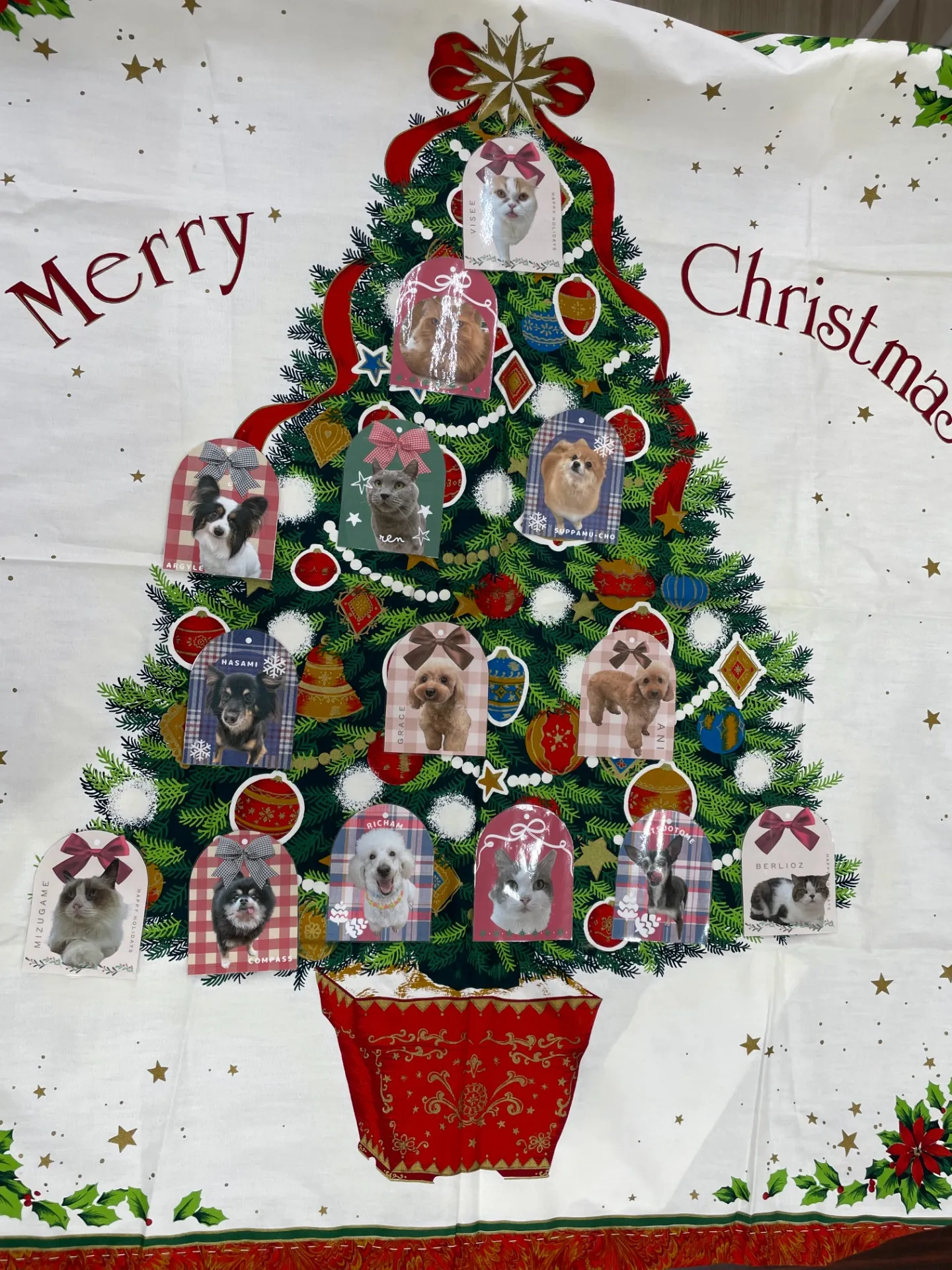 Xmas本番に向けて！！