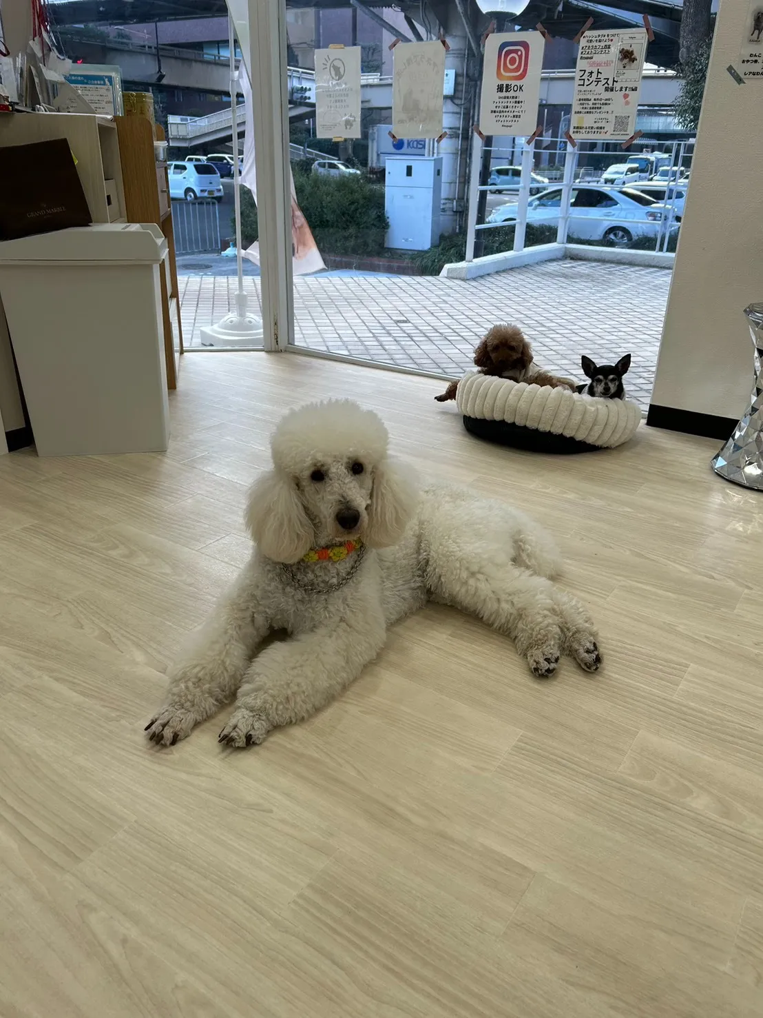 皆さんいかがお過ごしでしょうか～！