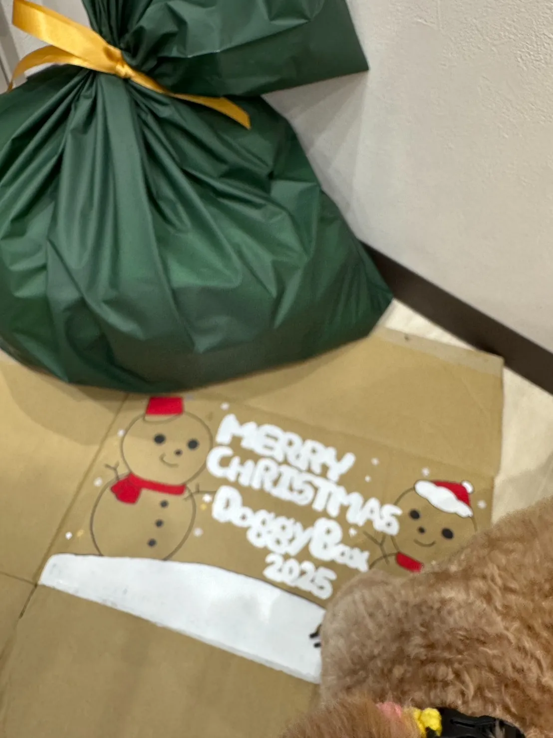 Xmasイヴ！！🎄✨