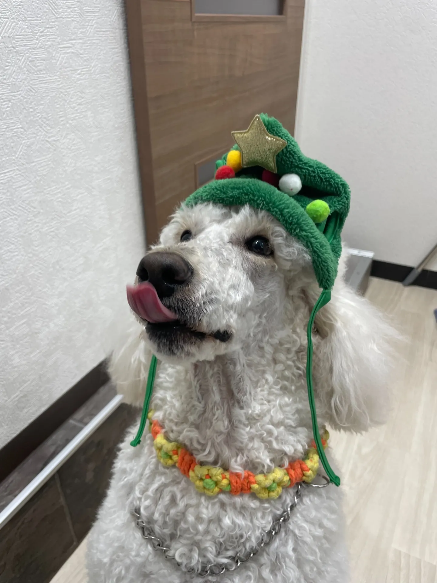 Merry　Christmas！！