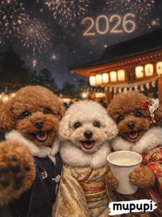 新年あけましておめでとうございます🎍✨