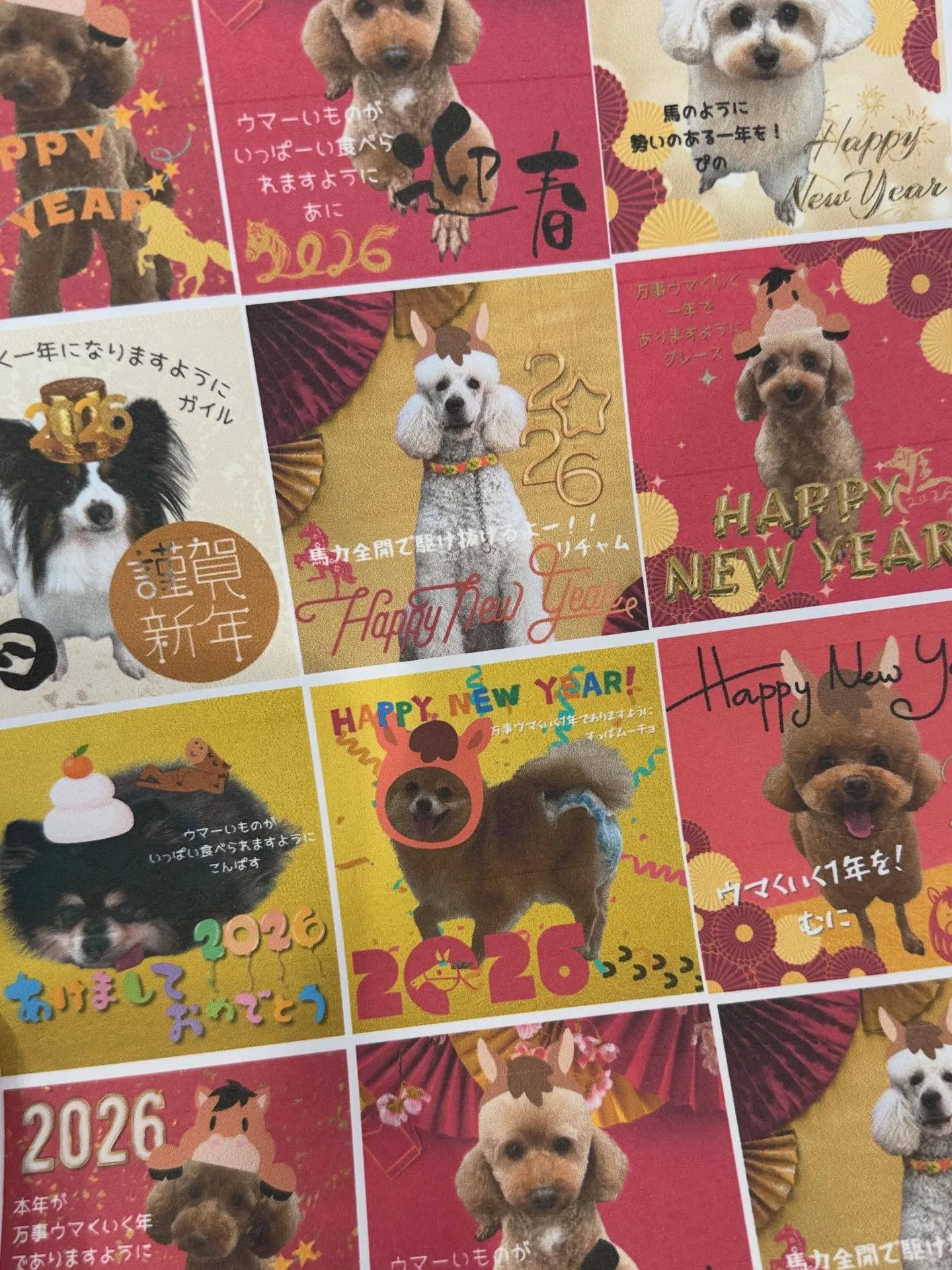 新年1発目は運試しイベント‼️