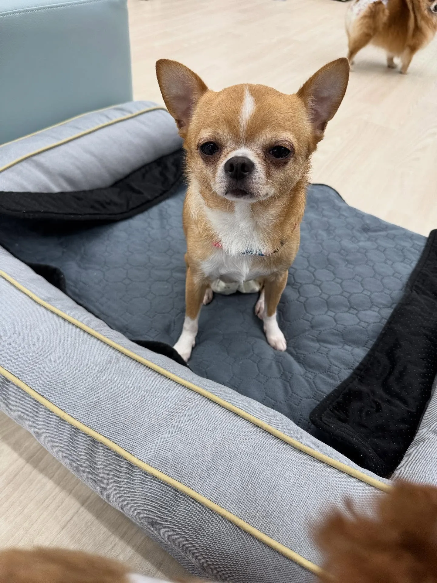 新年1発目は運試しイベント‼️