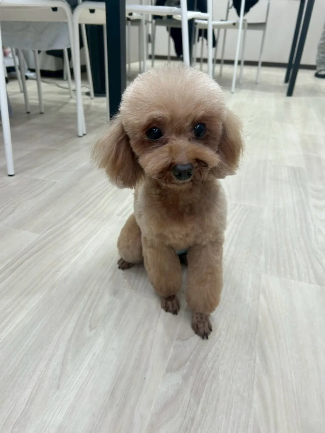 新年1発目は運試しイベント‼️