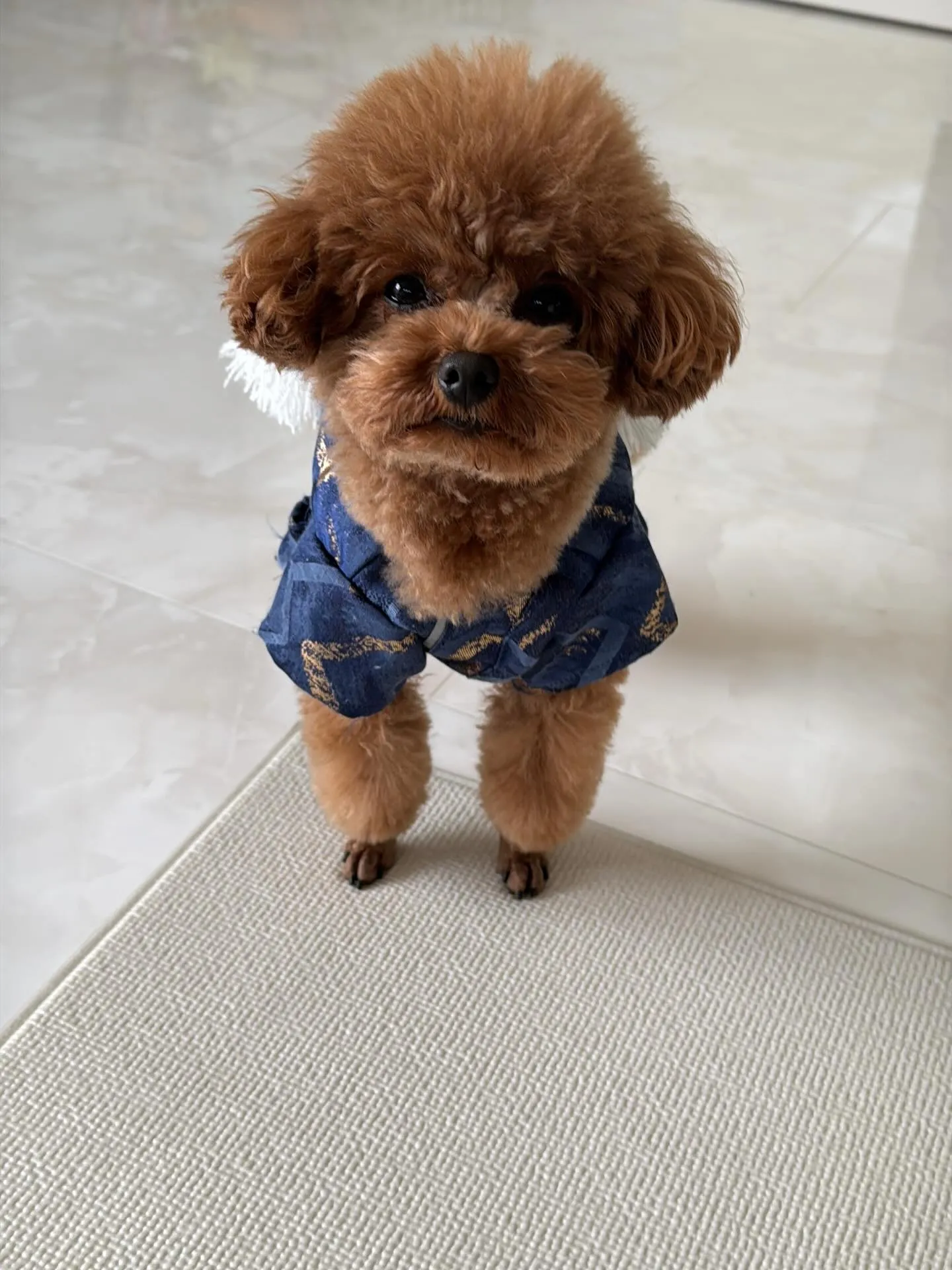 新年1発目は運試しイベント‼️