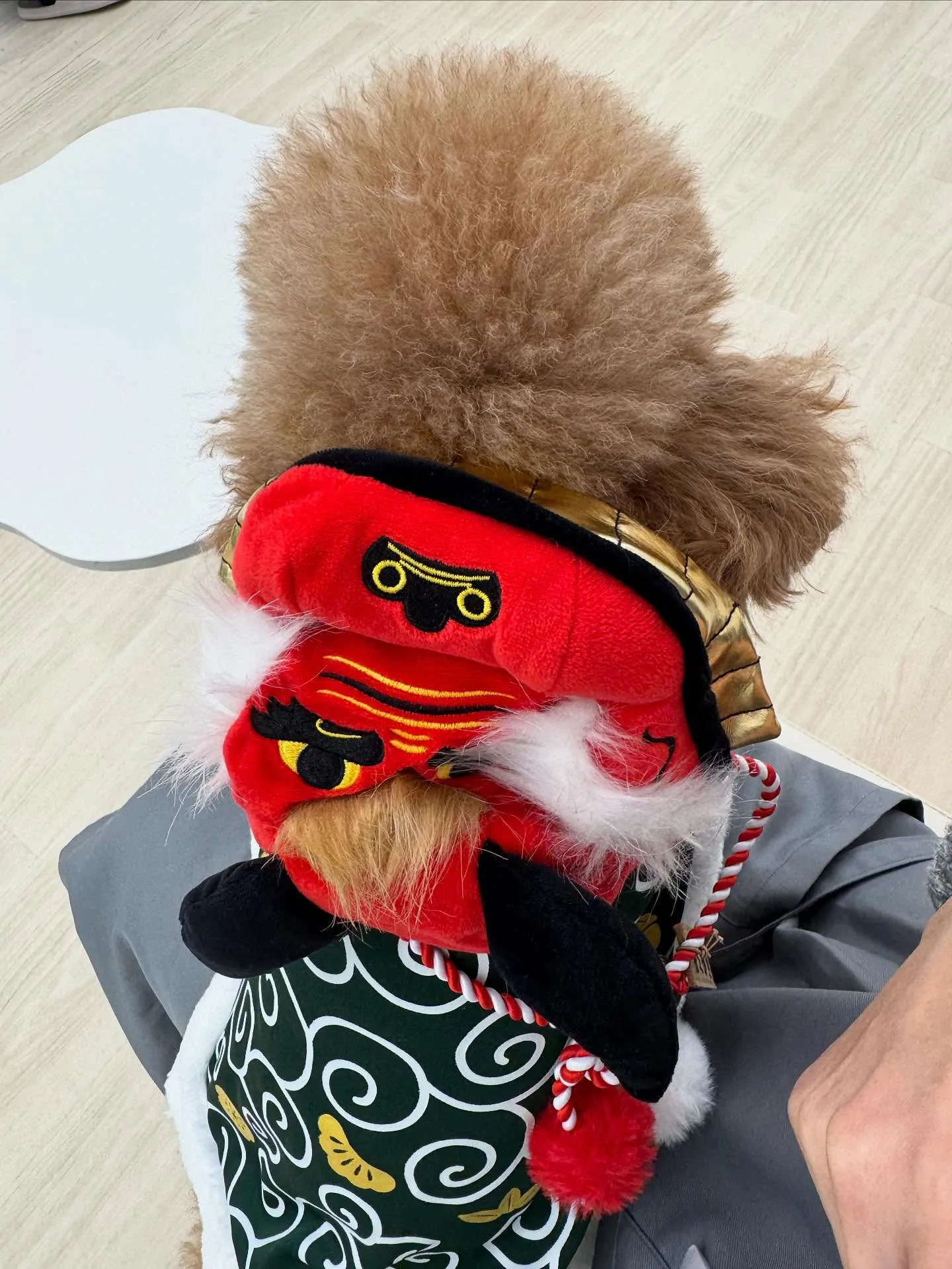 新年1発目は運試しイベント‼️