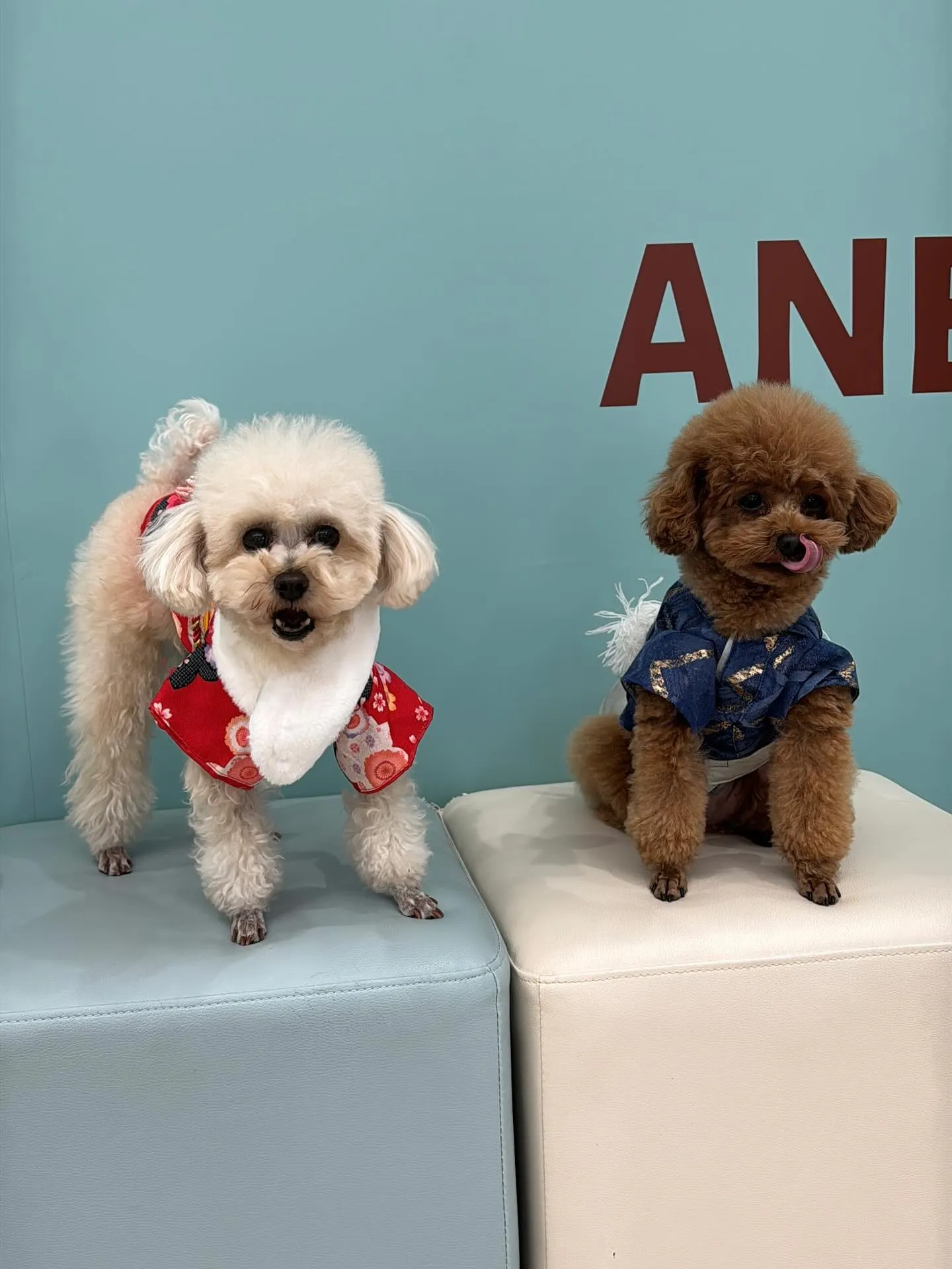 新年1発目は運試しイベント‼️