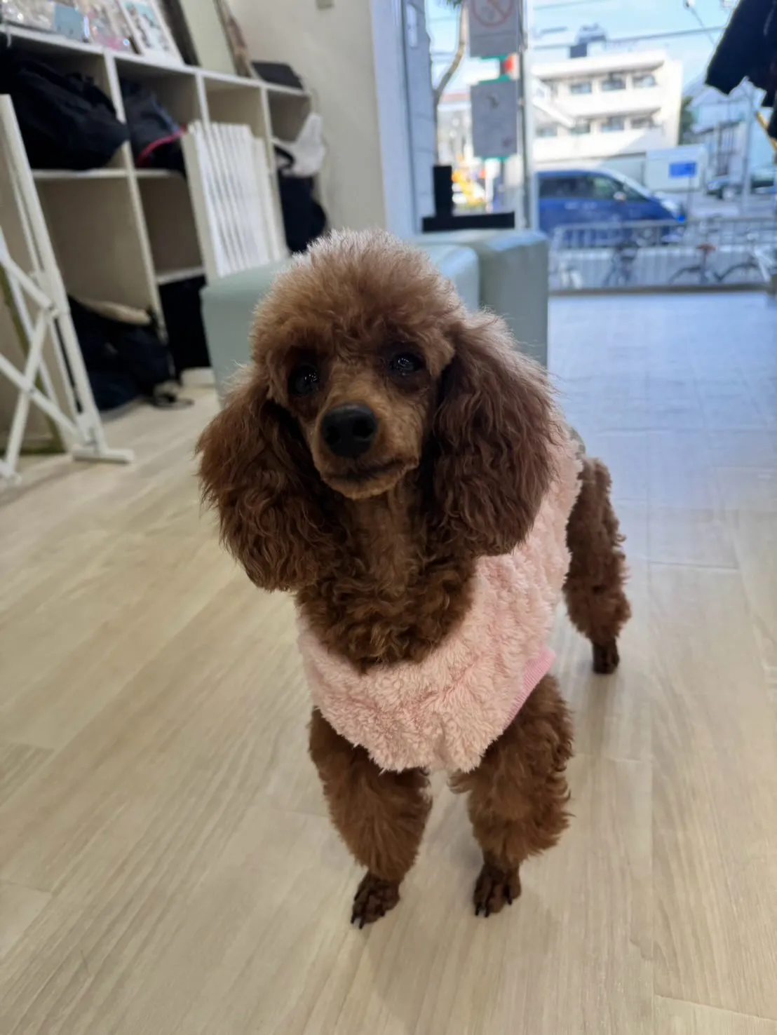 さぁ二月は冬バージョンのシールゲットです！