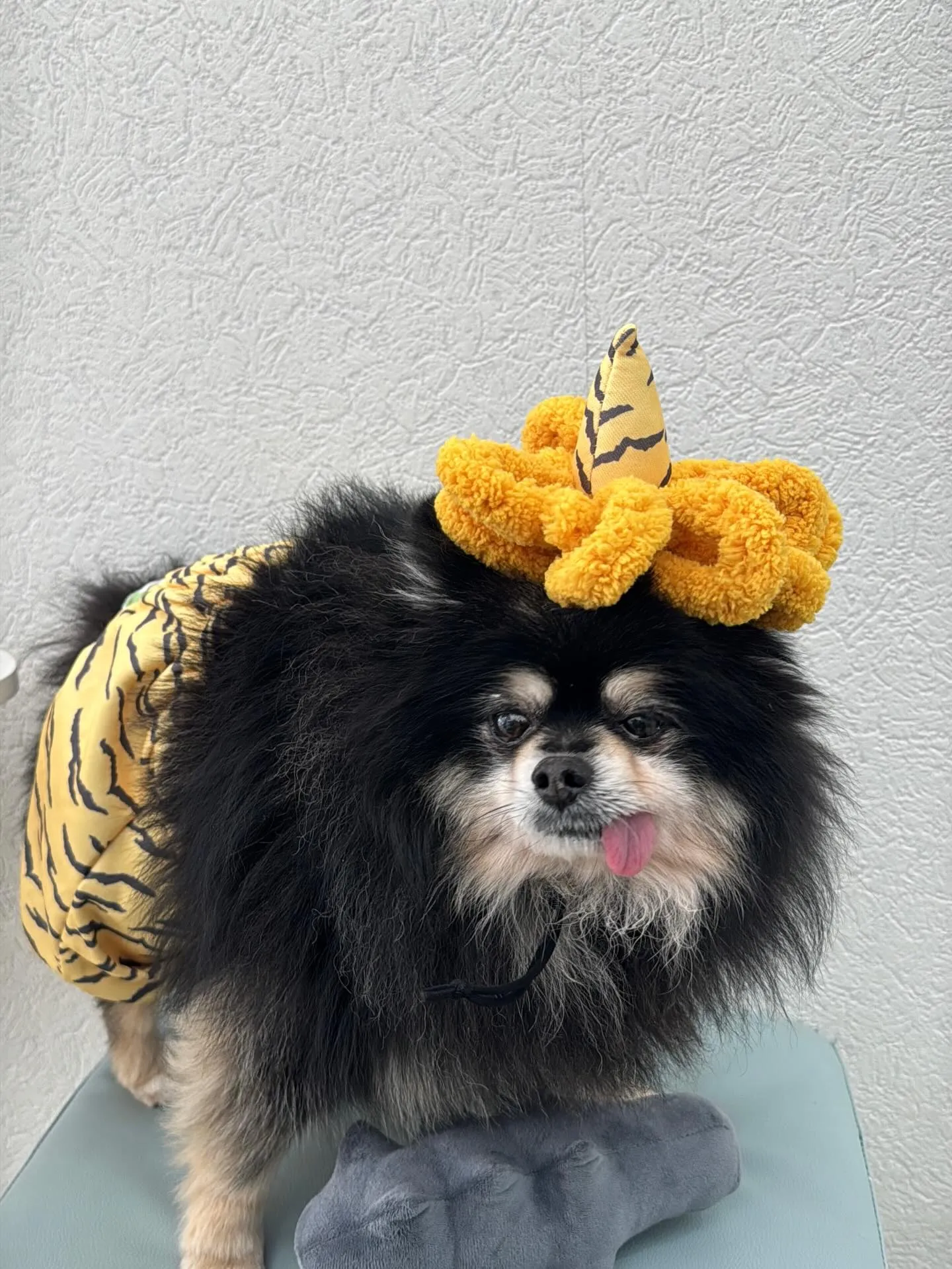 さぁ二月は冬バージョンのシールゲットです！