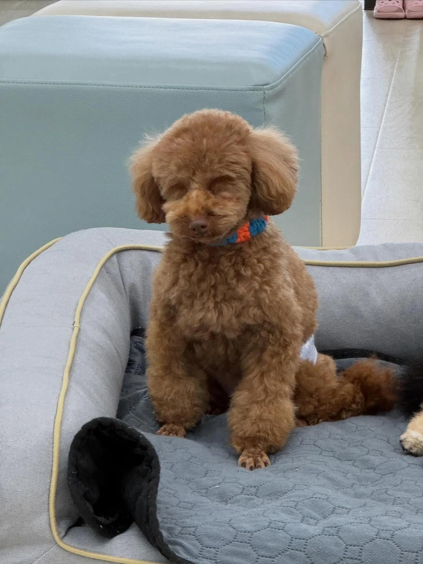 さぁ二月は冬バージョンのシールゲットです！