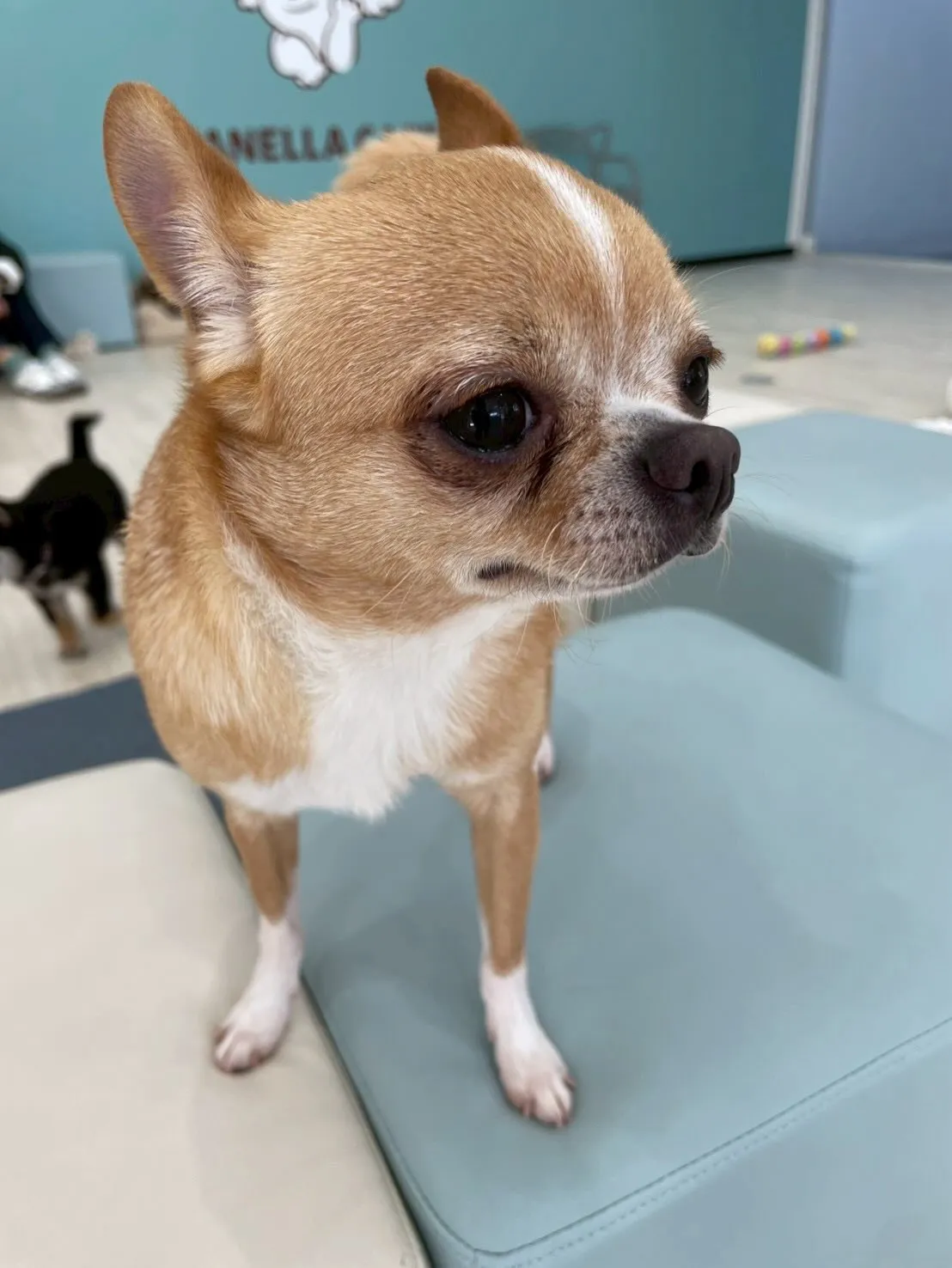 さぁ二月は冬バージョンのシールゲットです！