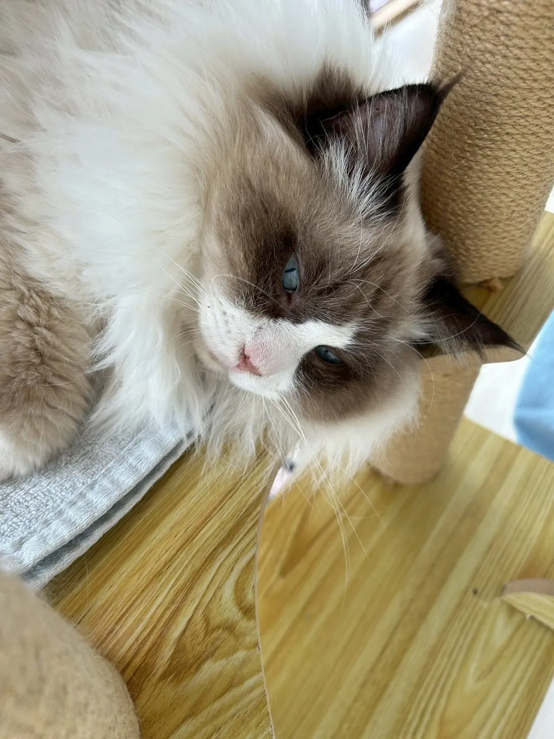 さぁ二月は冬バージョンのシールゲットです！