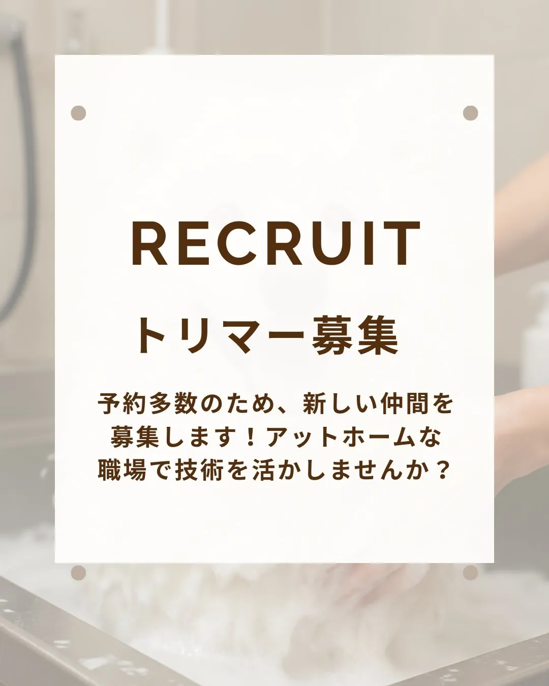 トリマーさん募集します！