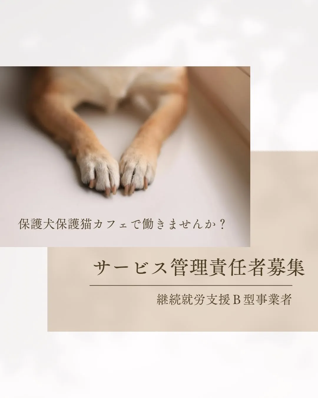 保護活動と福祉事業が合わさったふれあいカフェで