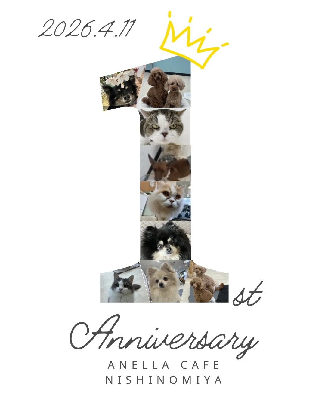 なんとこの週末4月11日で1周年となります‼️