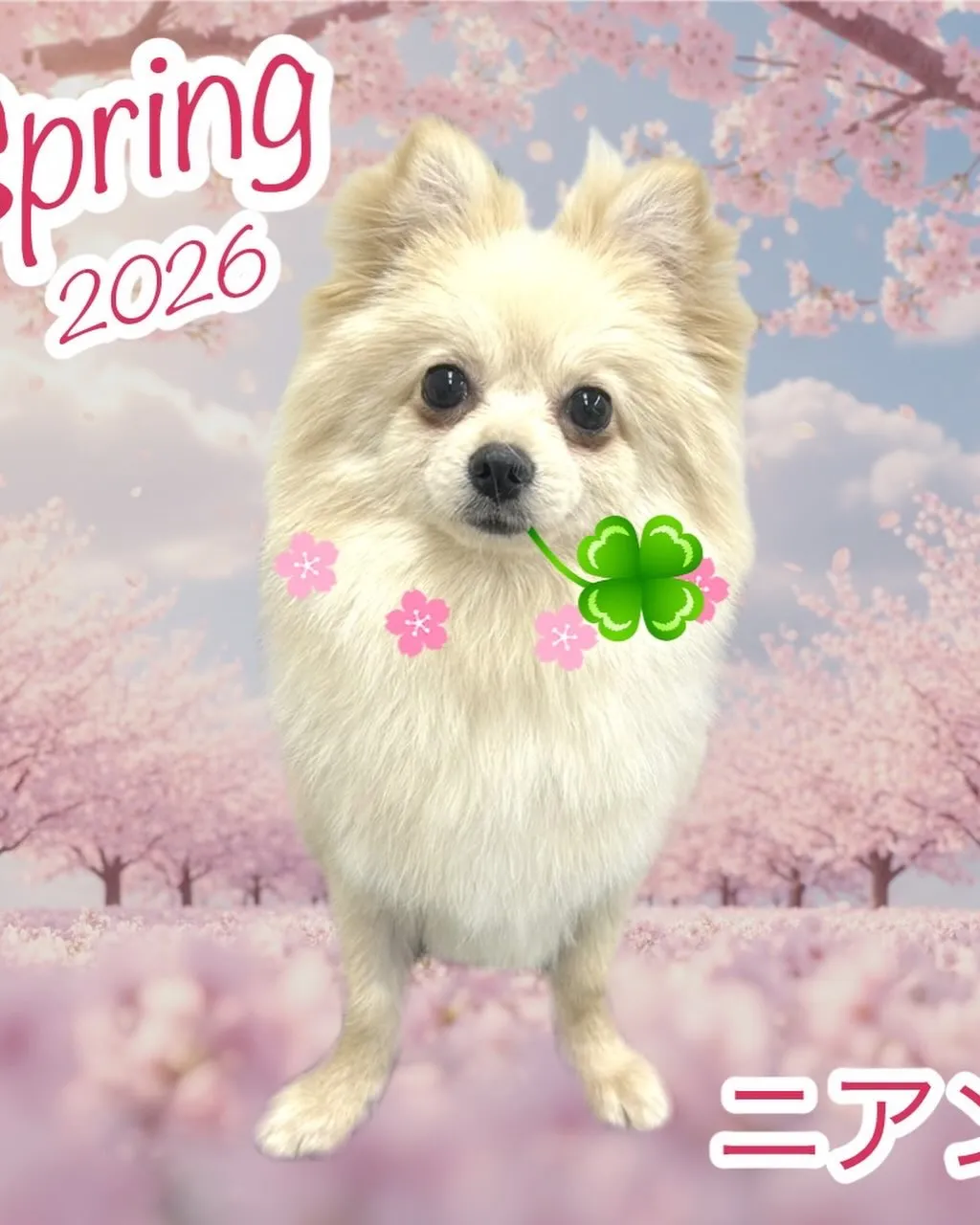 なんとこの週末4月11日で1周年となります‼️