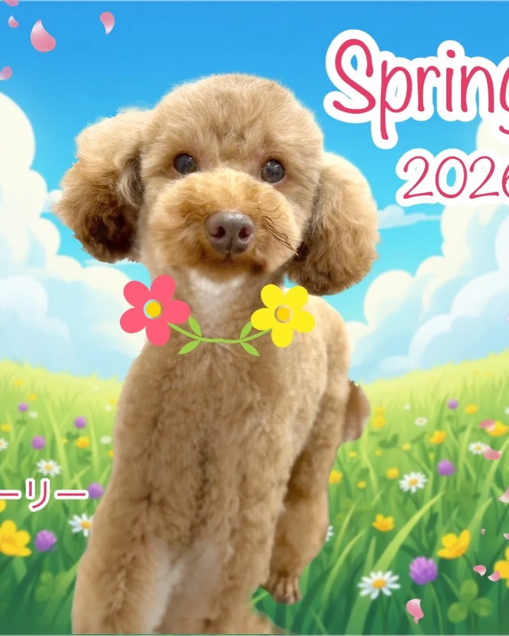 なんとこの週末4月11日で1周年となります‼️