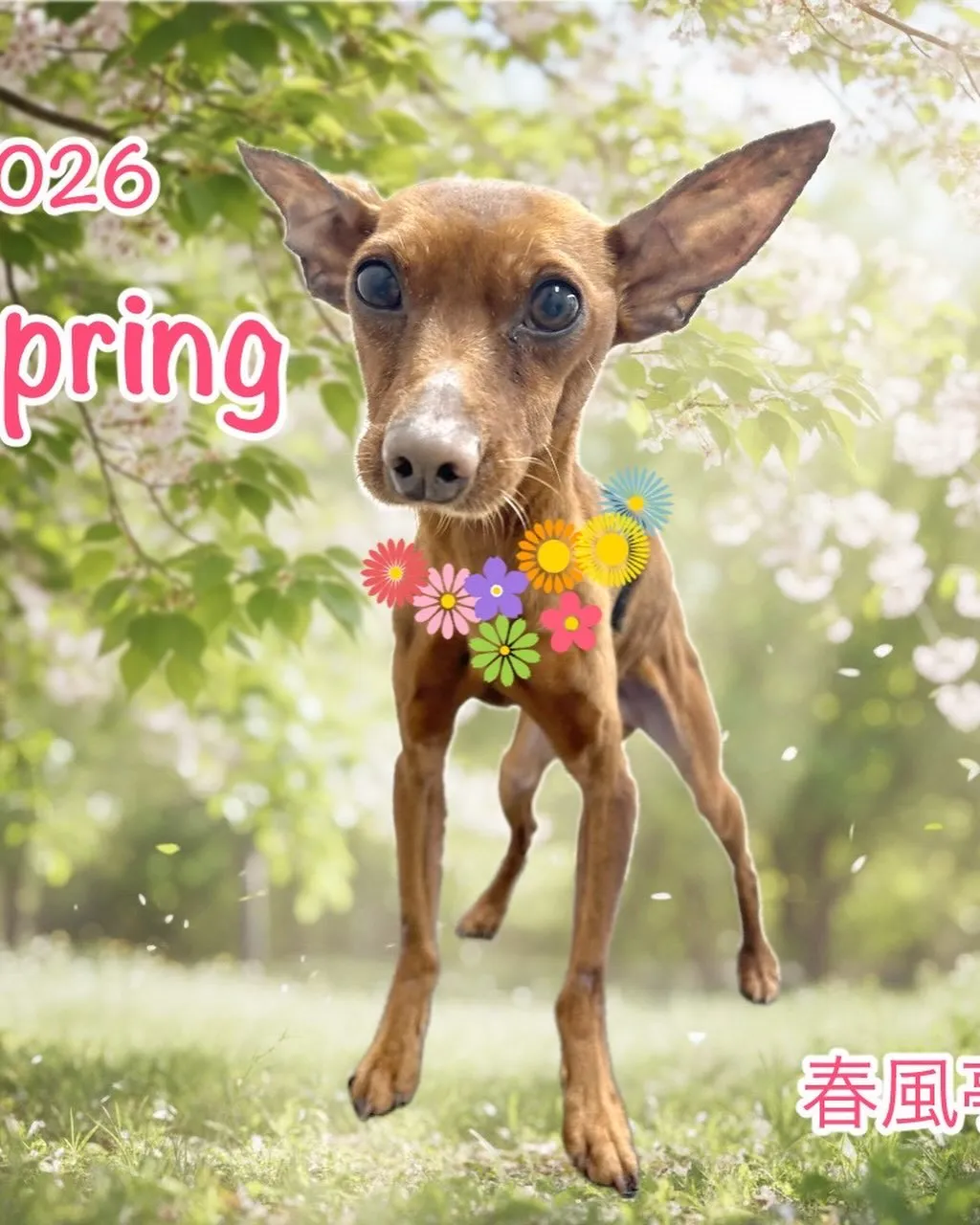 なんとこの週末4月11日で1周年となります‼️