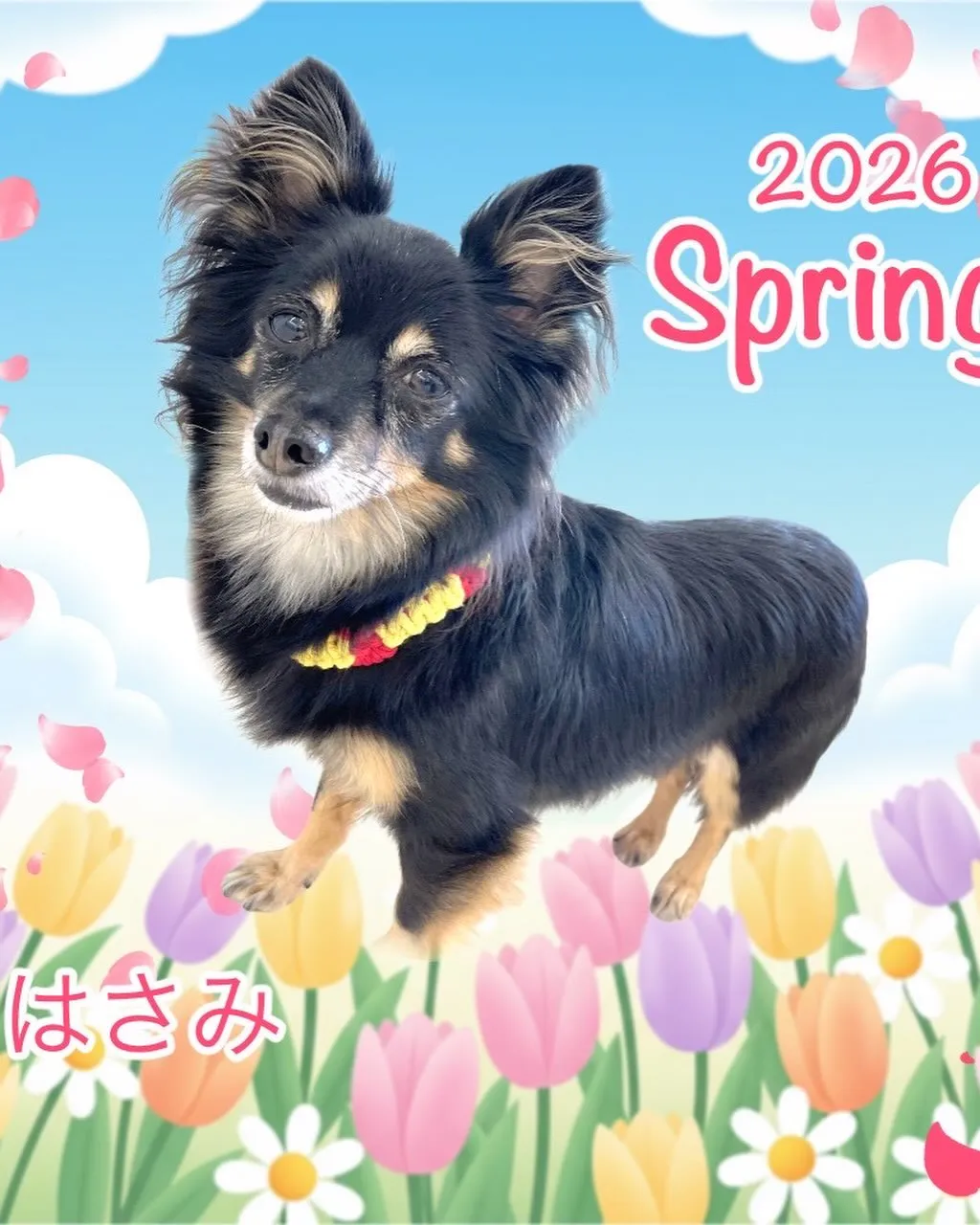 なんとこの週末4月11日で1周年となります‼️