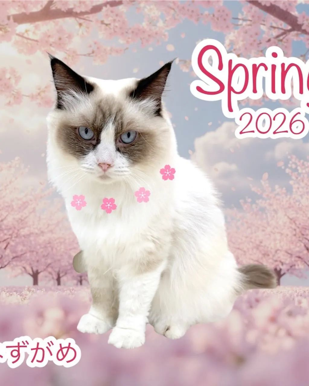 なんとこの週末4月11日で1周年となります‼️