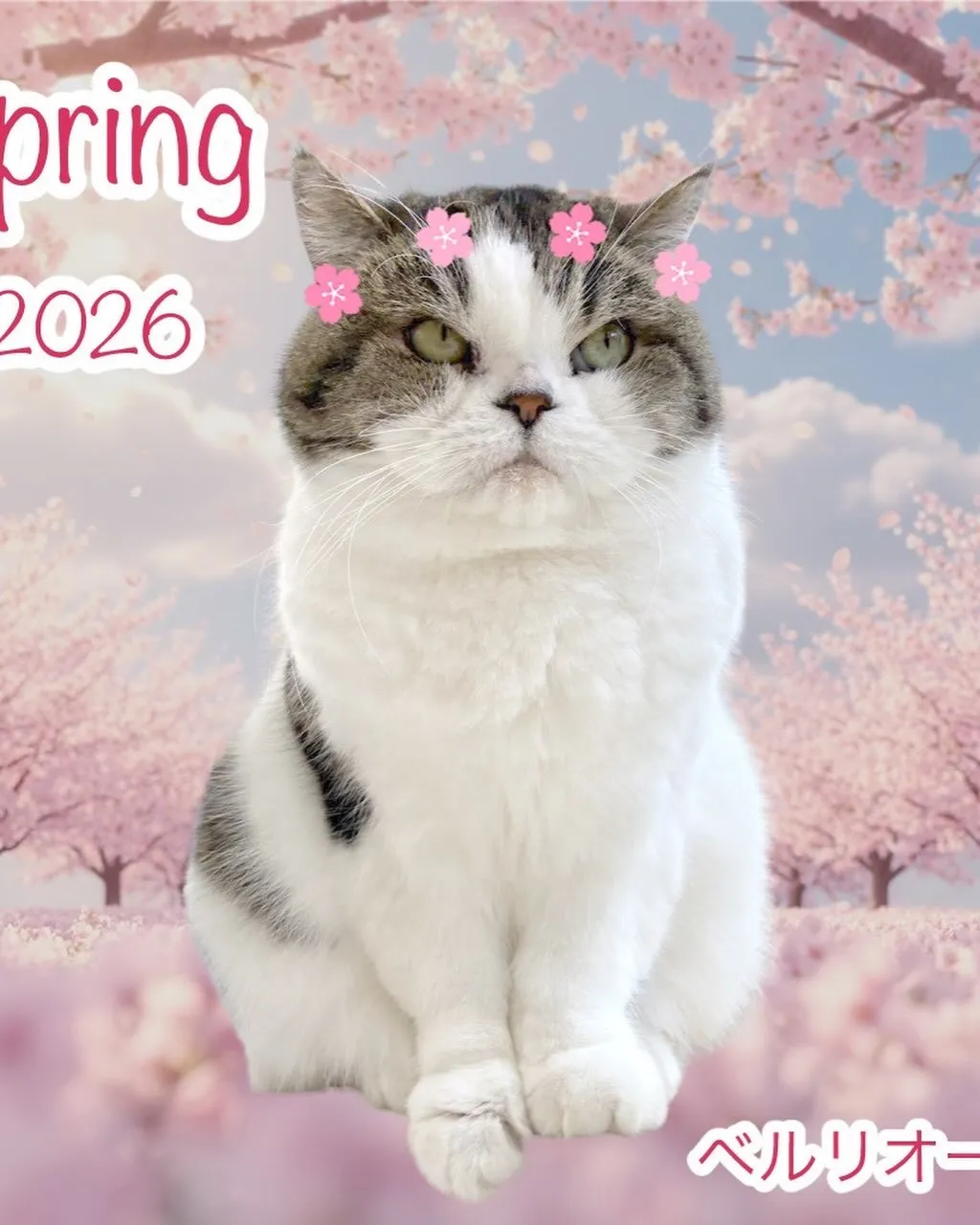 なんとこの週末4月11日で1周年となります‼️