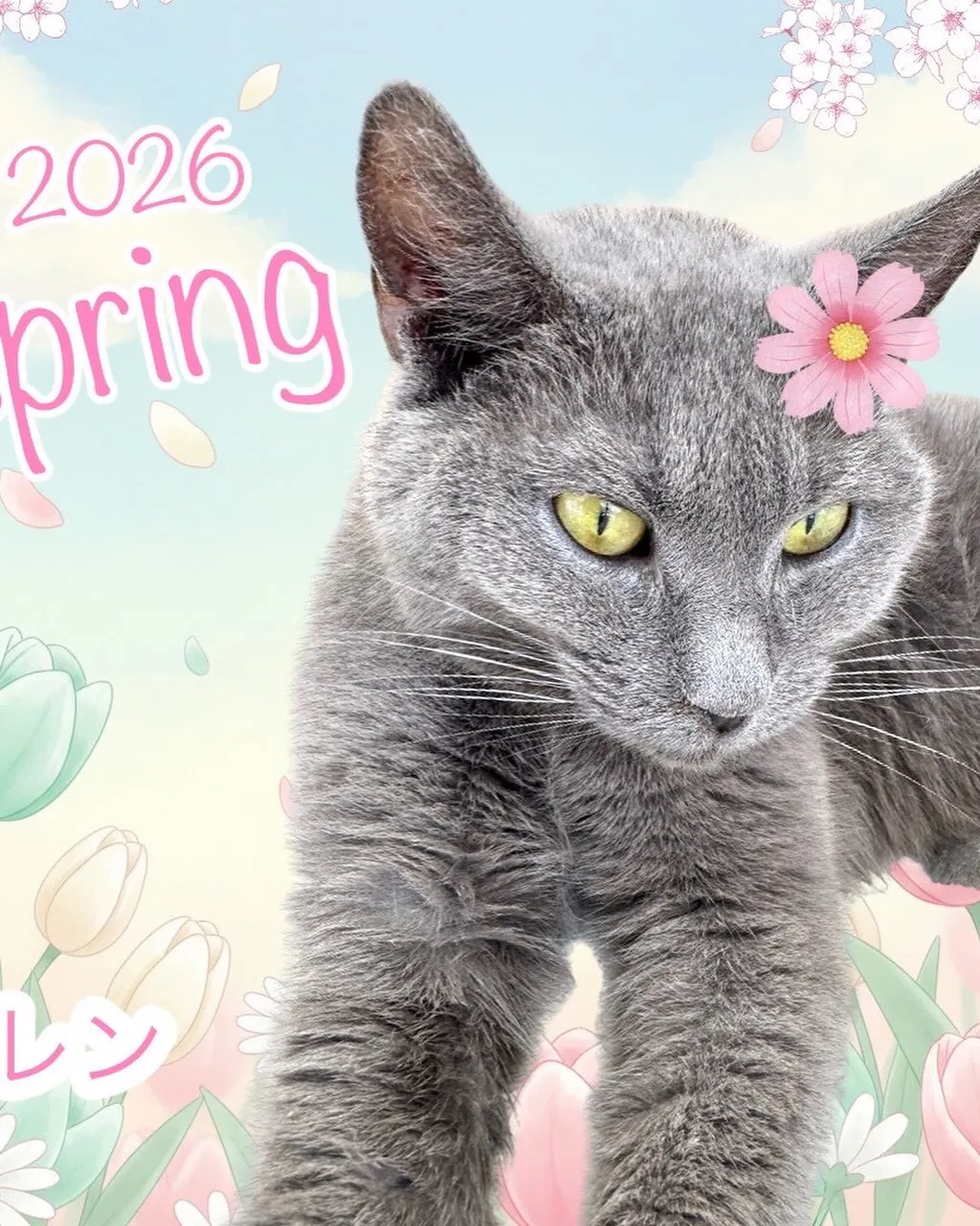 なんとこの週末4月11日で1周年となります‼️