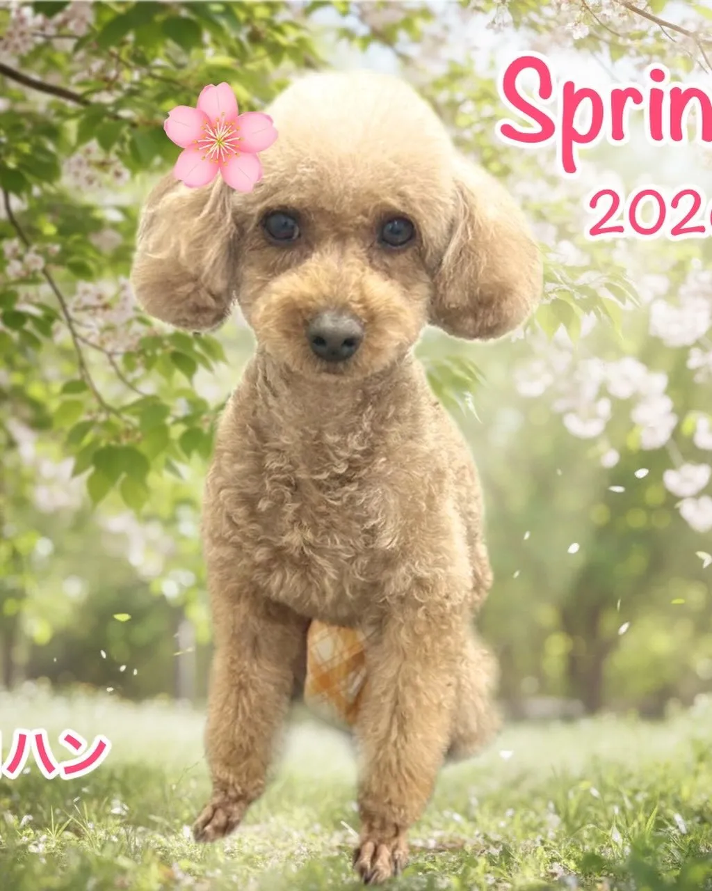 なんとこの週末4月11日で1周年となります‼️