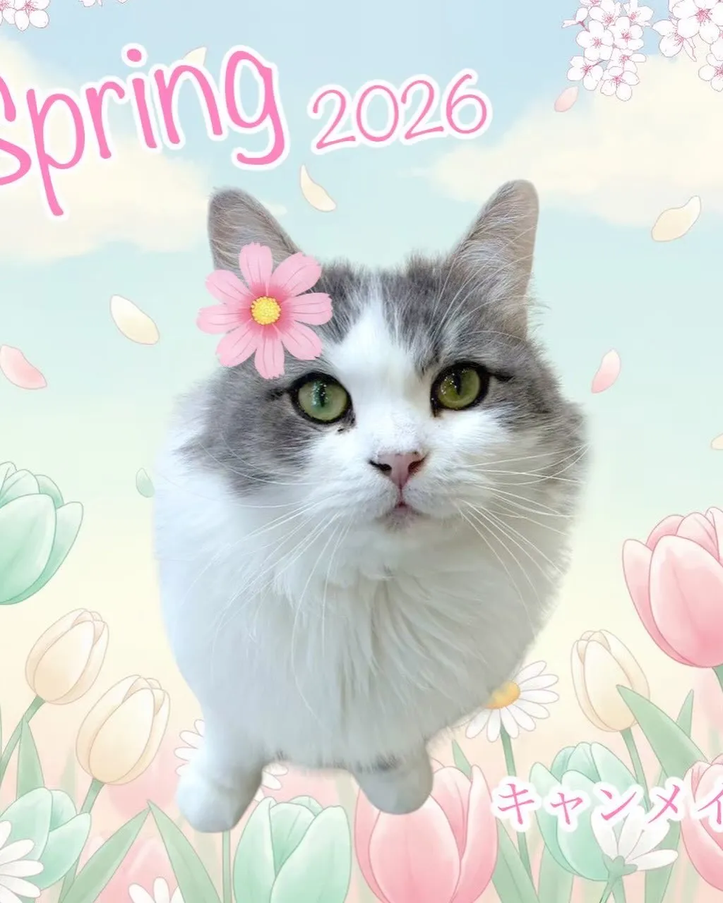 なんとこの週末4月11日で1周年となります‼️