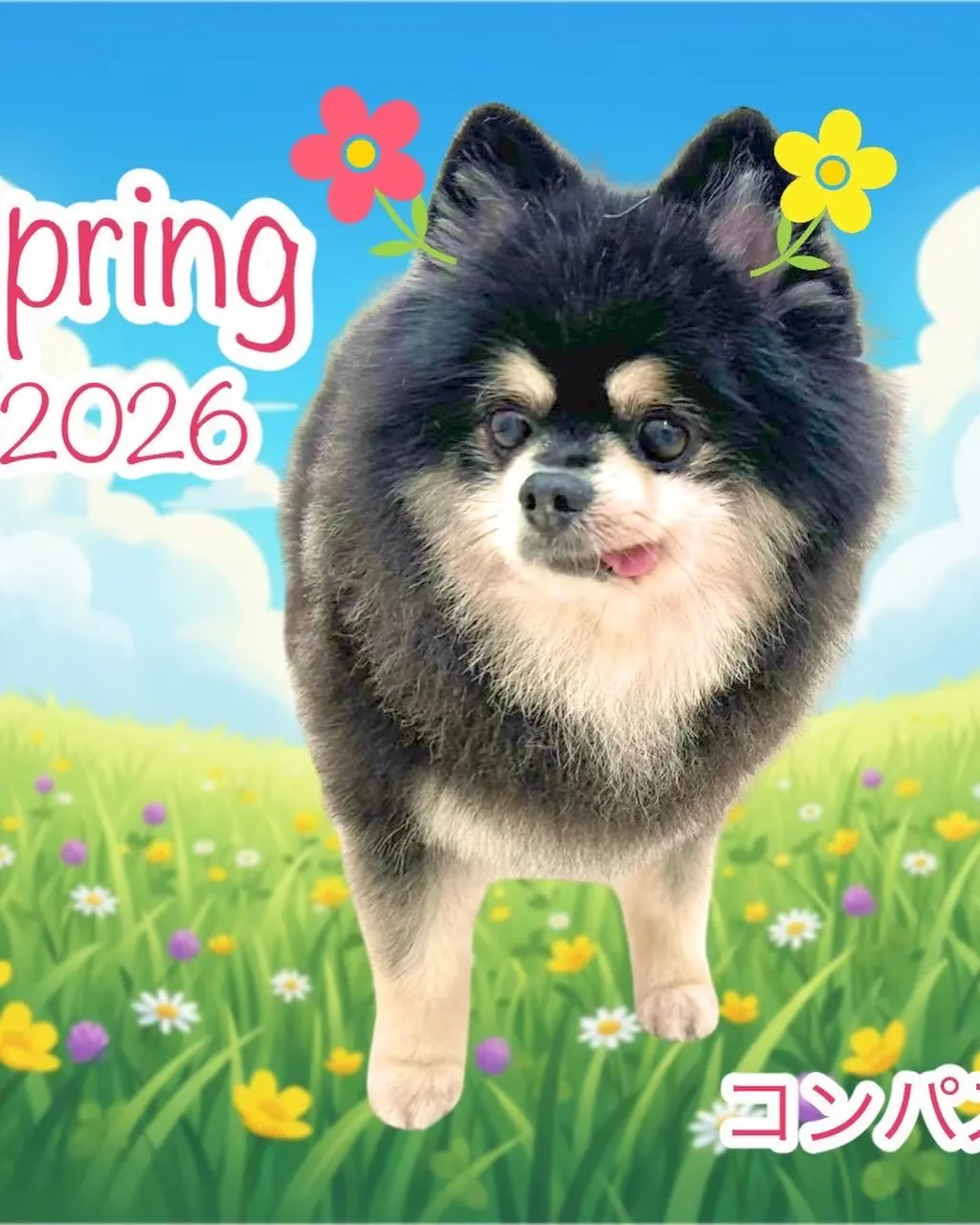 なんとこの週末4月11日で1周年となります‼️